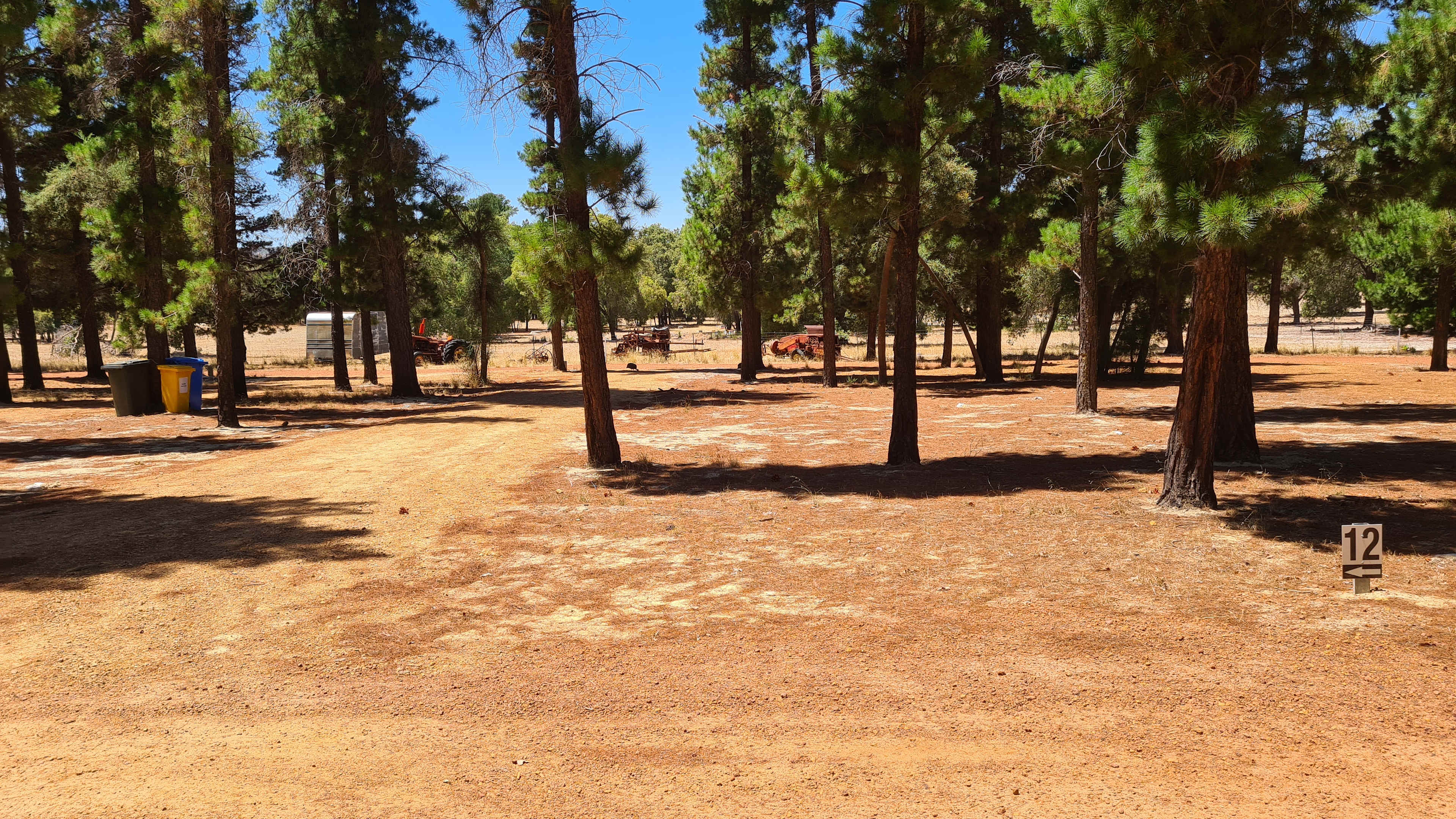 Little Eeden Farm Pine Camp