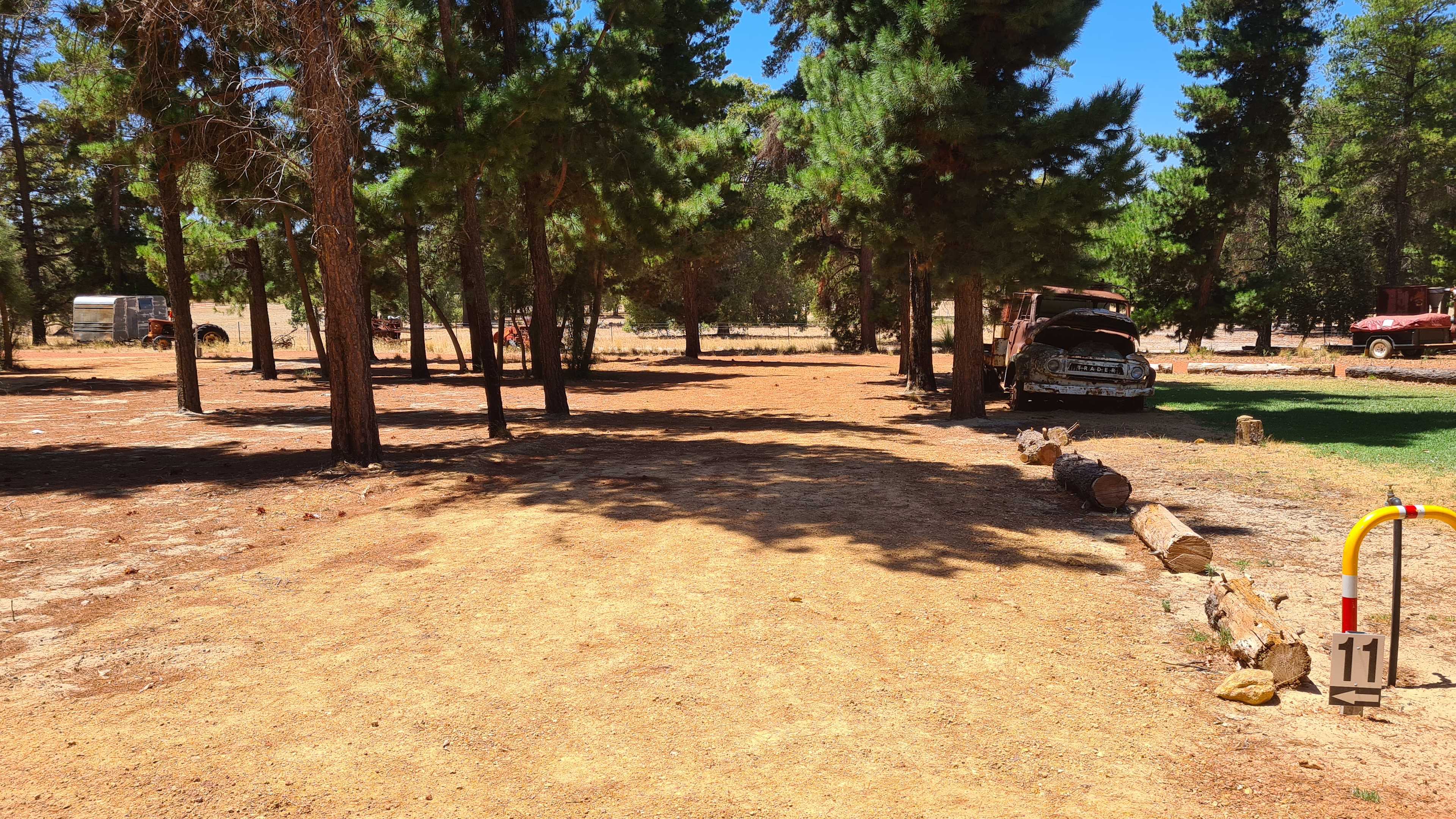 Little Eeden Farm Pine Camp