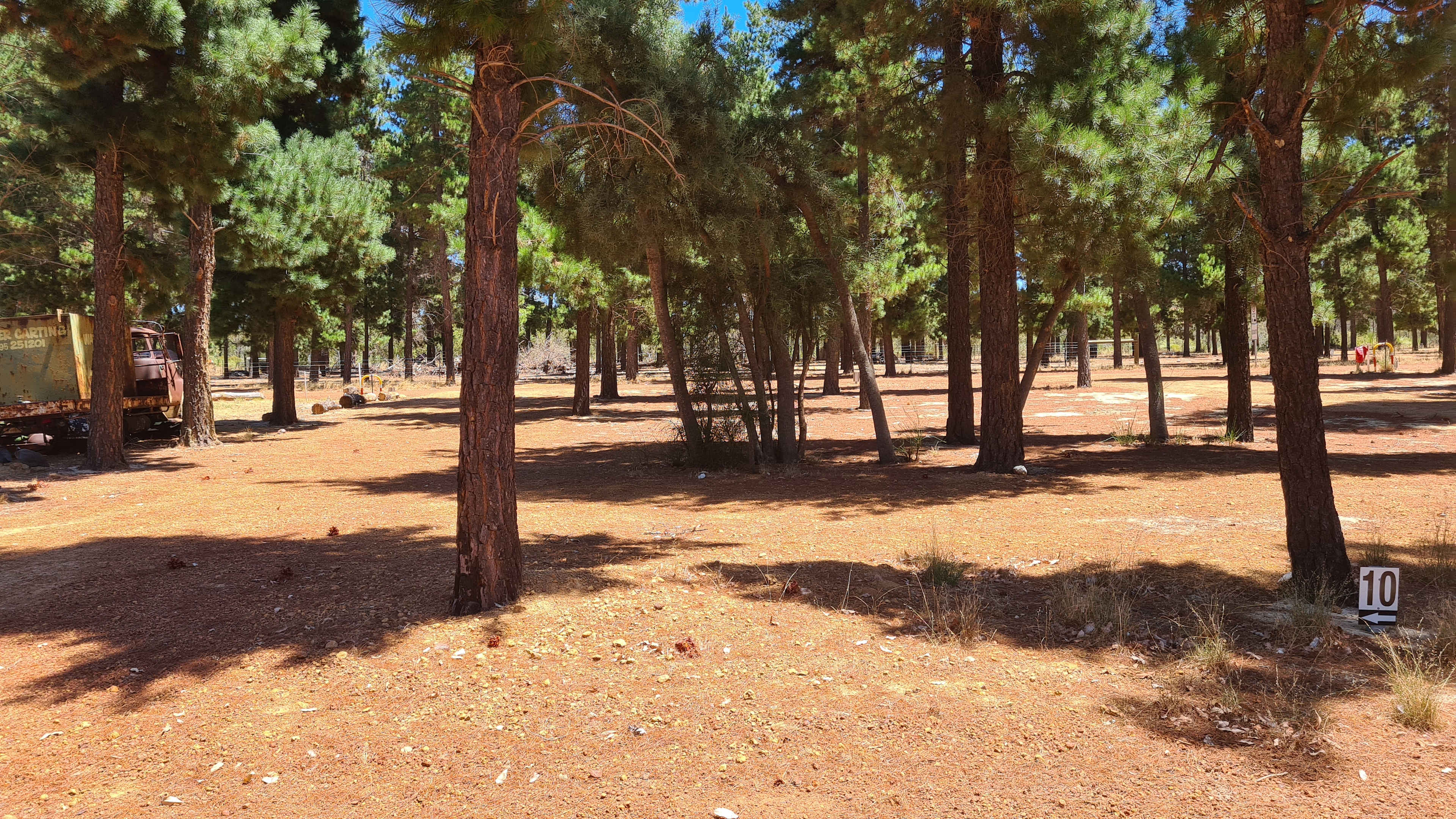 Little Eeden Farm Pine Camp