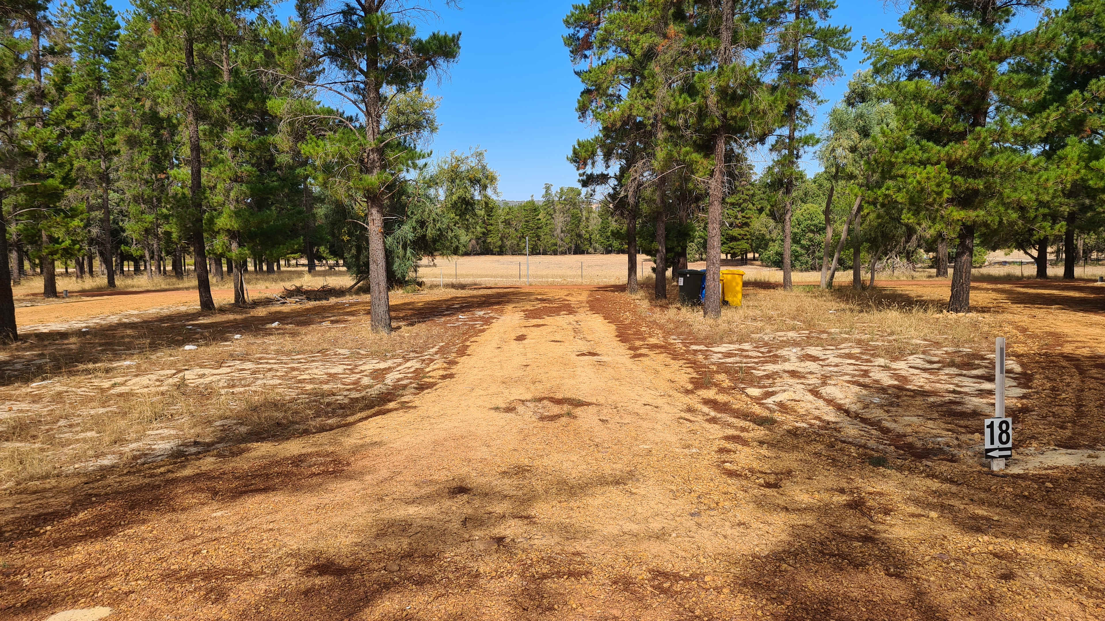 Little Eeden Farm Pine Camp