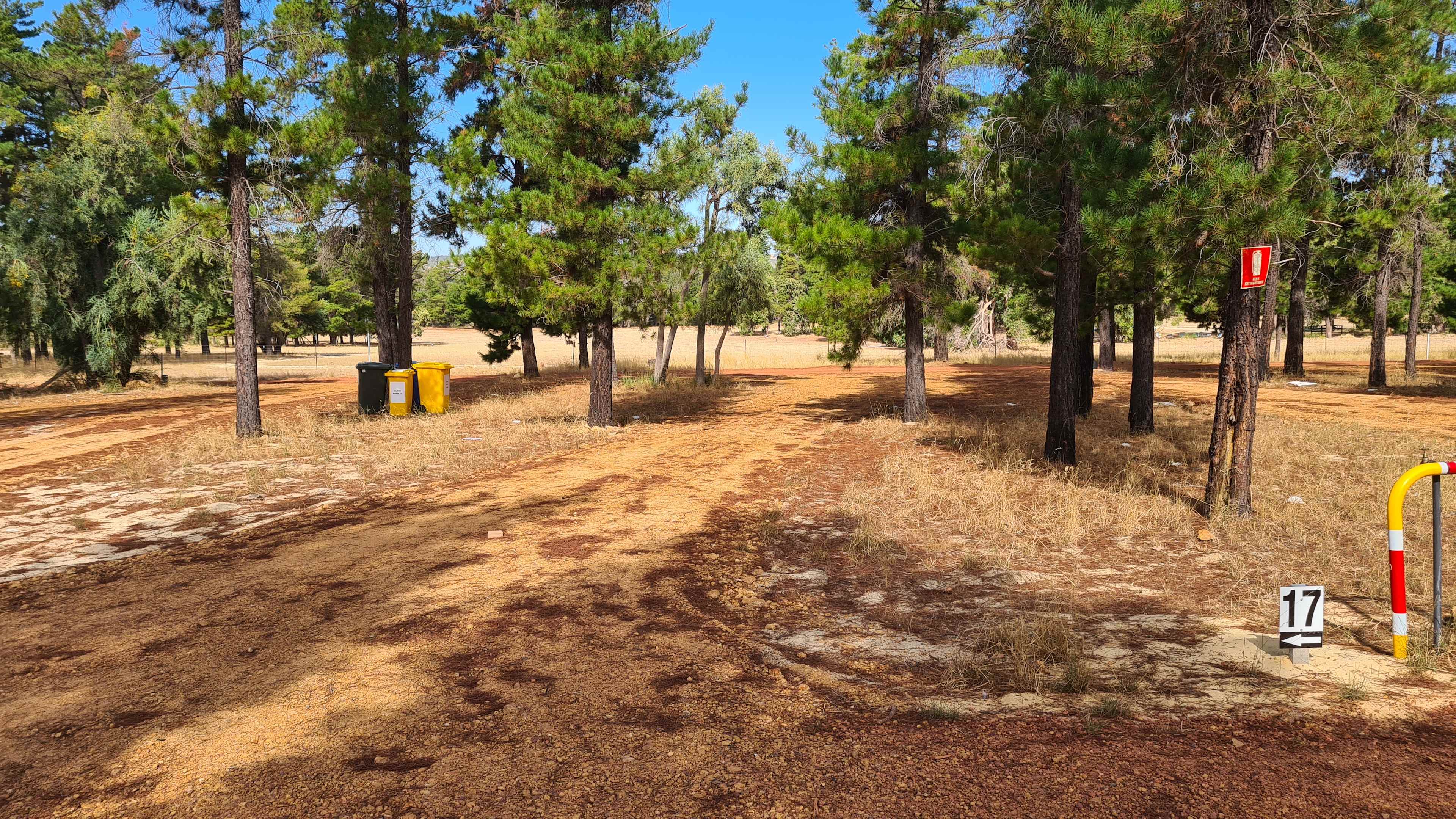 Little Eeden Farm Pine Camp