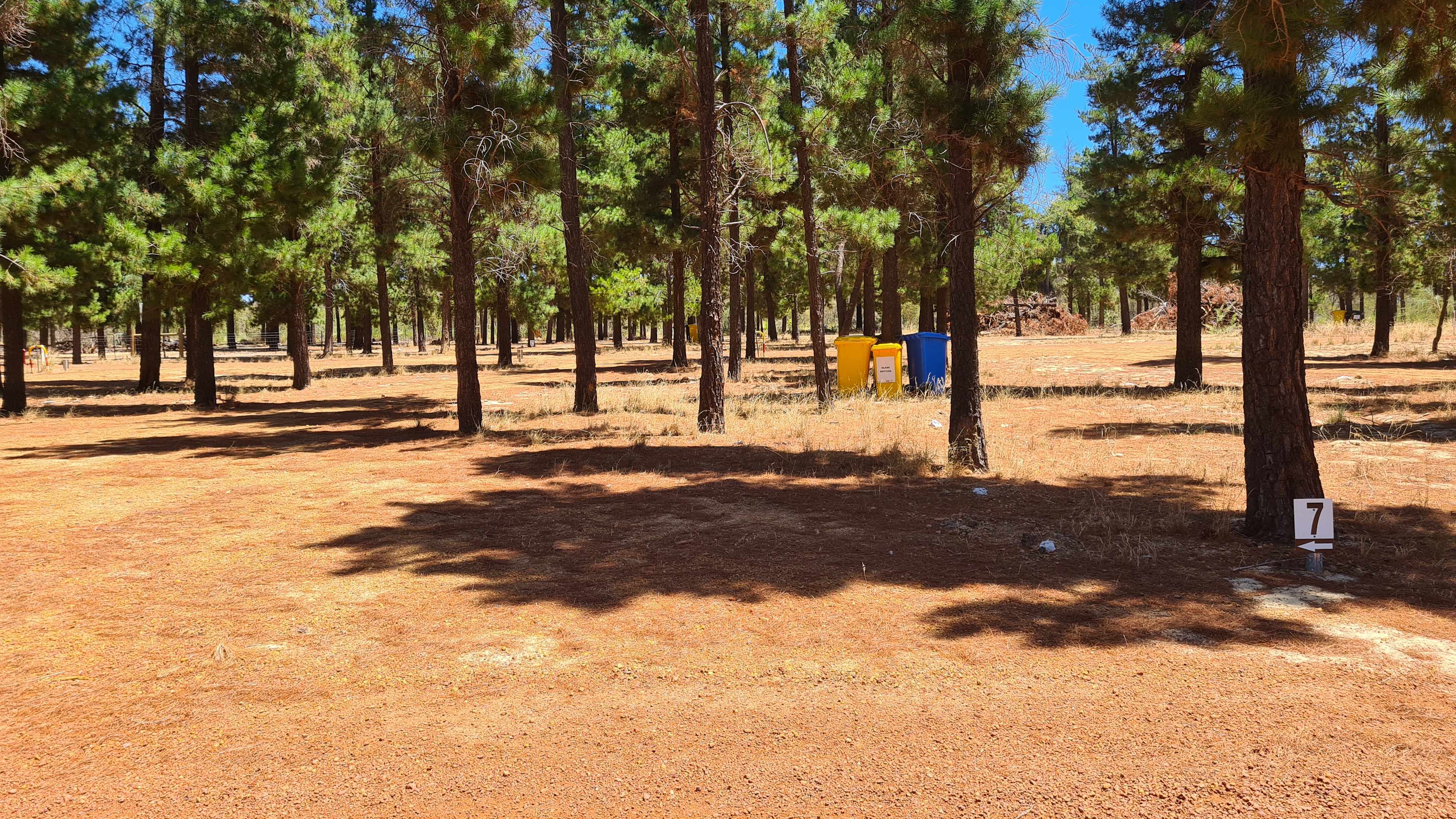 Little Eeden Farm Pine Camp