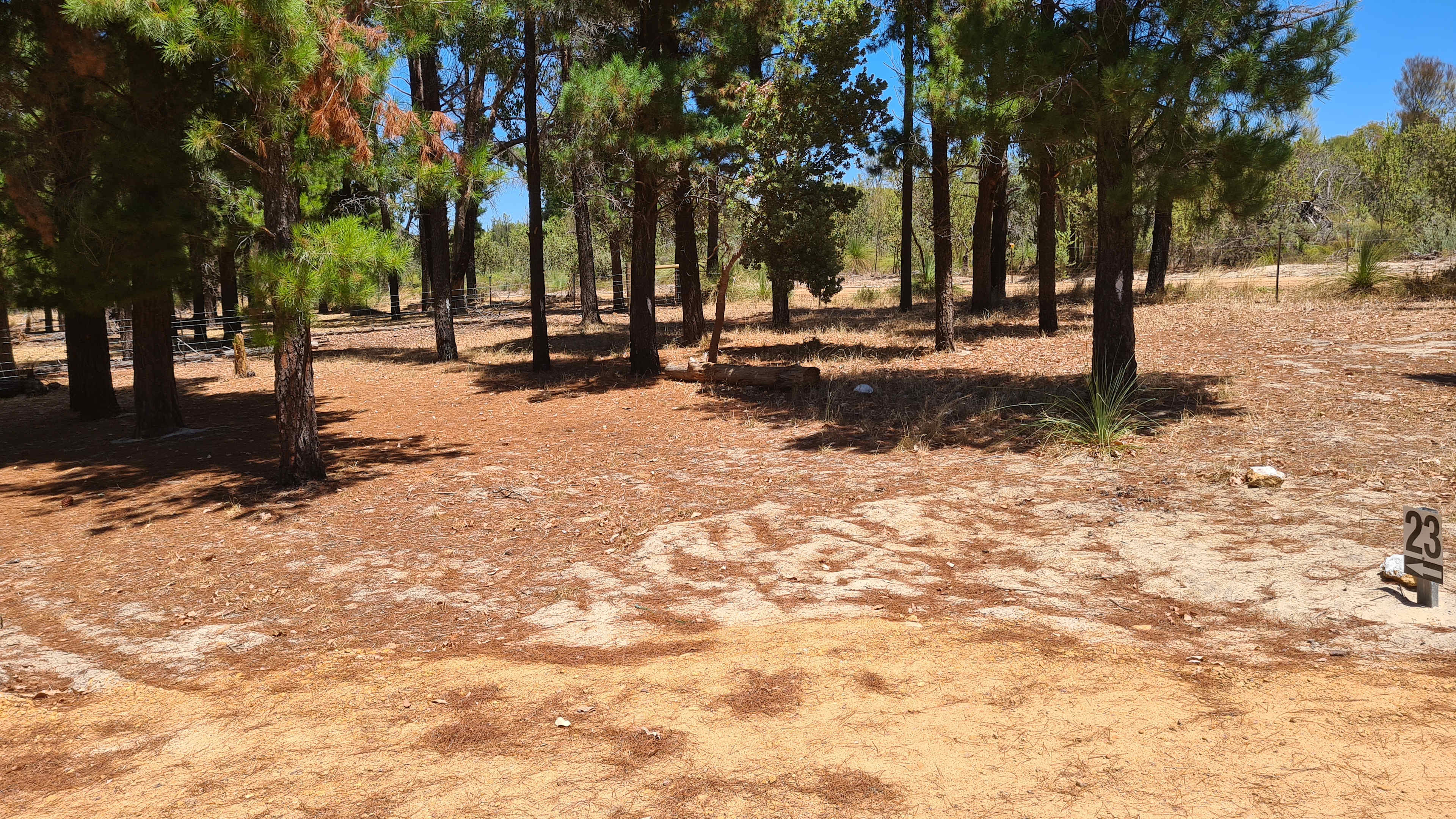 Little Eeden Farm Pine Camp