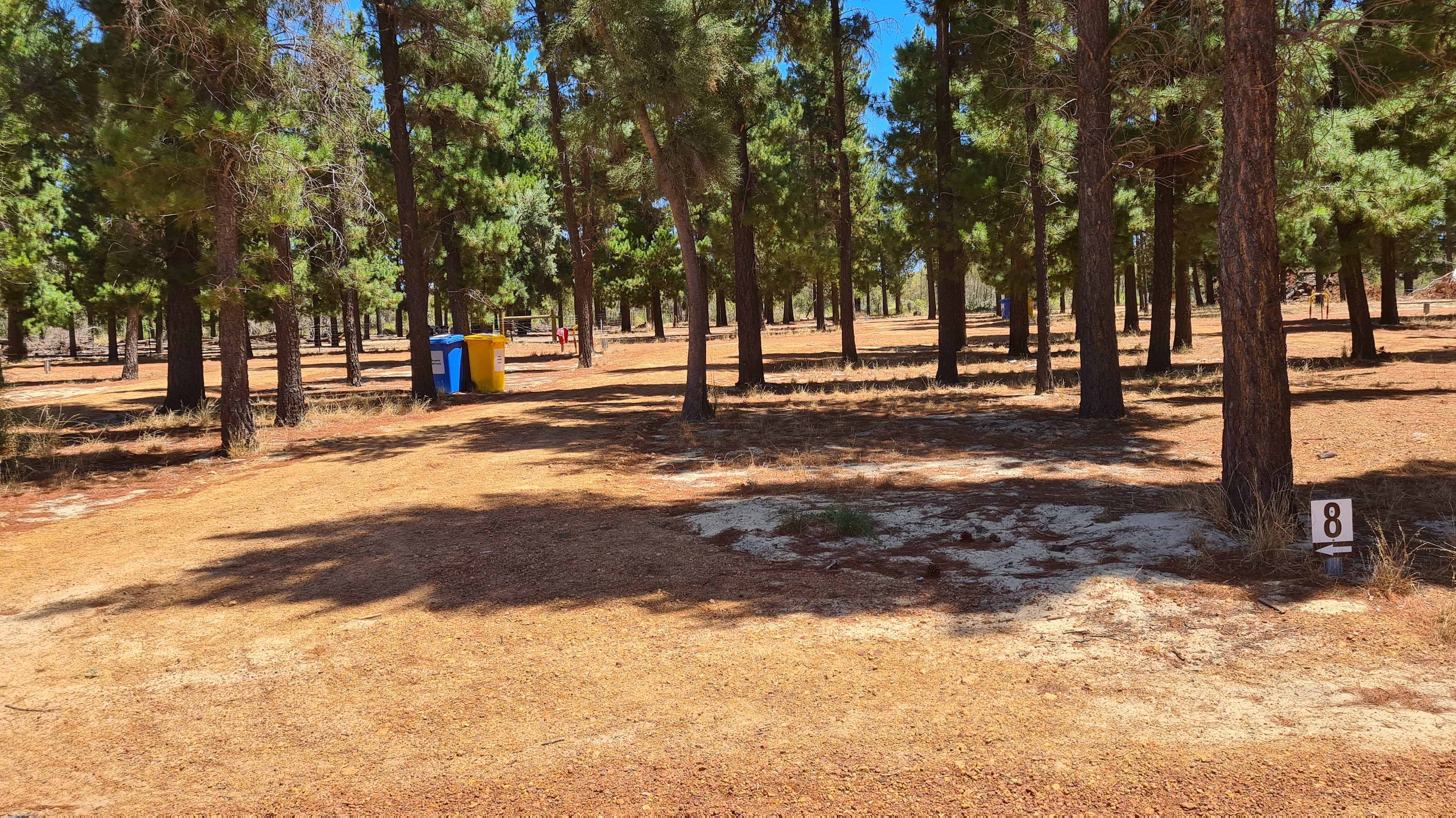 Little Eeden Farm Pine Camp