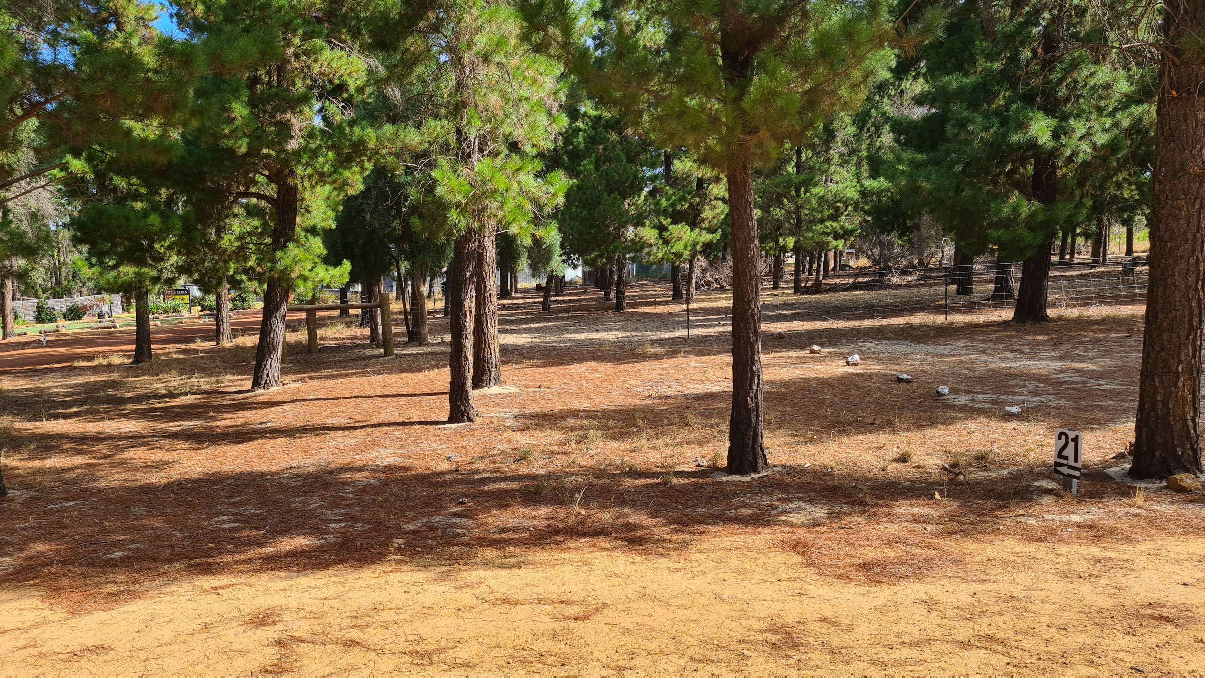 Little Eeden Farm Pine Camp