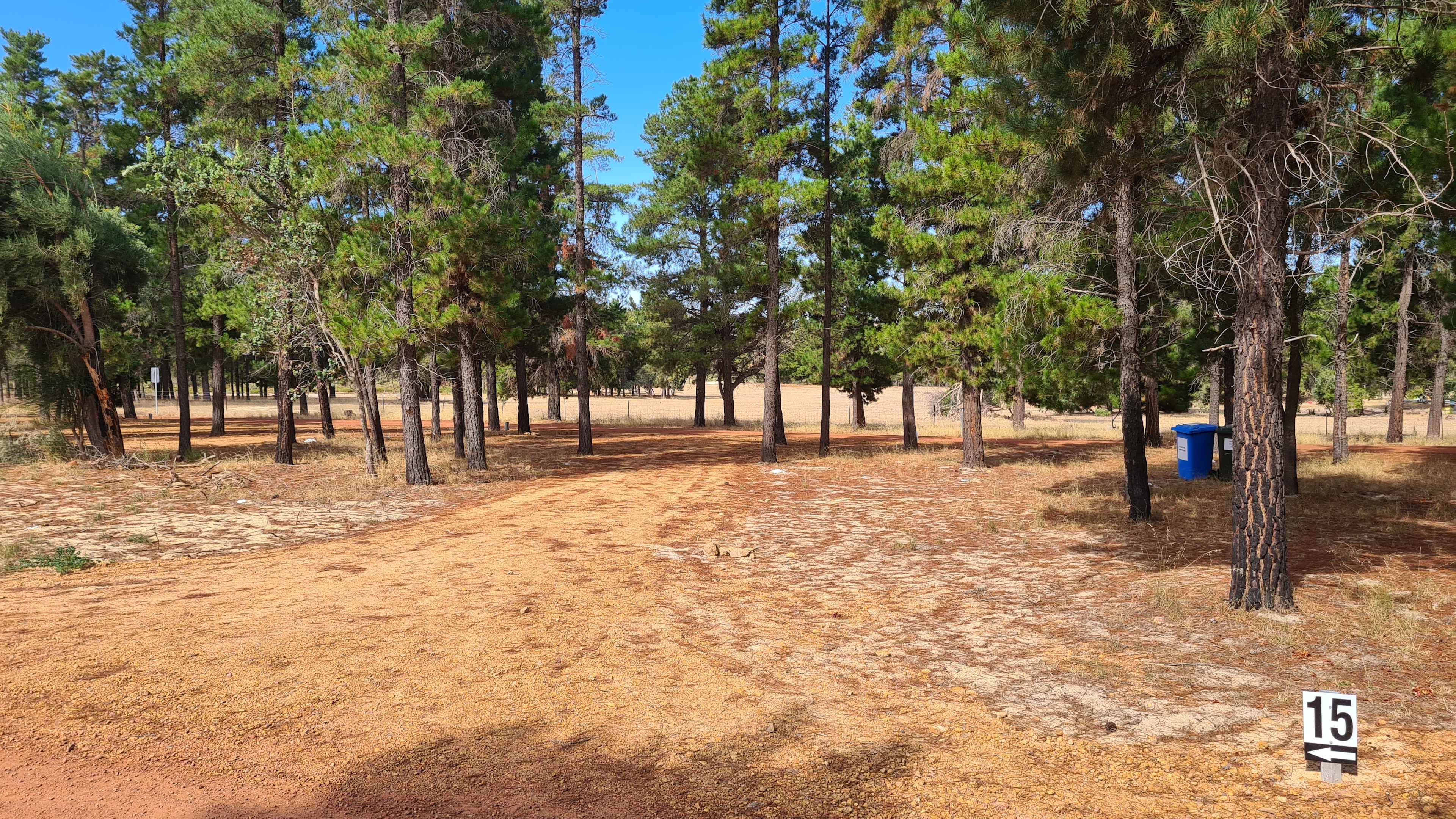 Little Eeden Farm Pine Camp