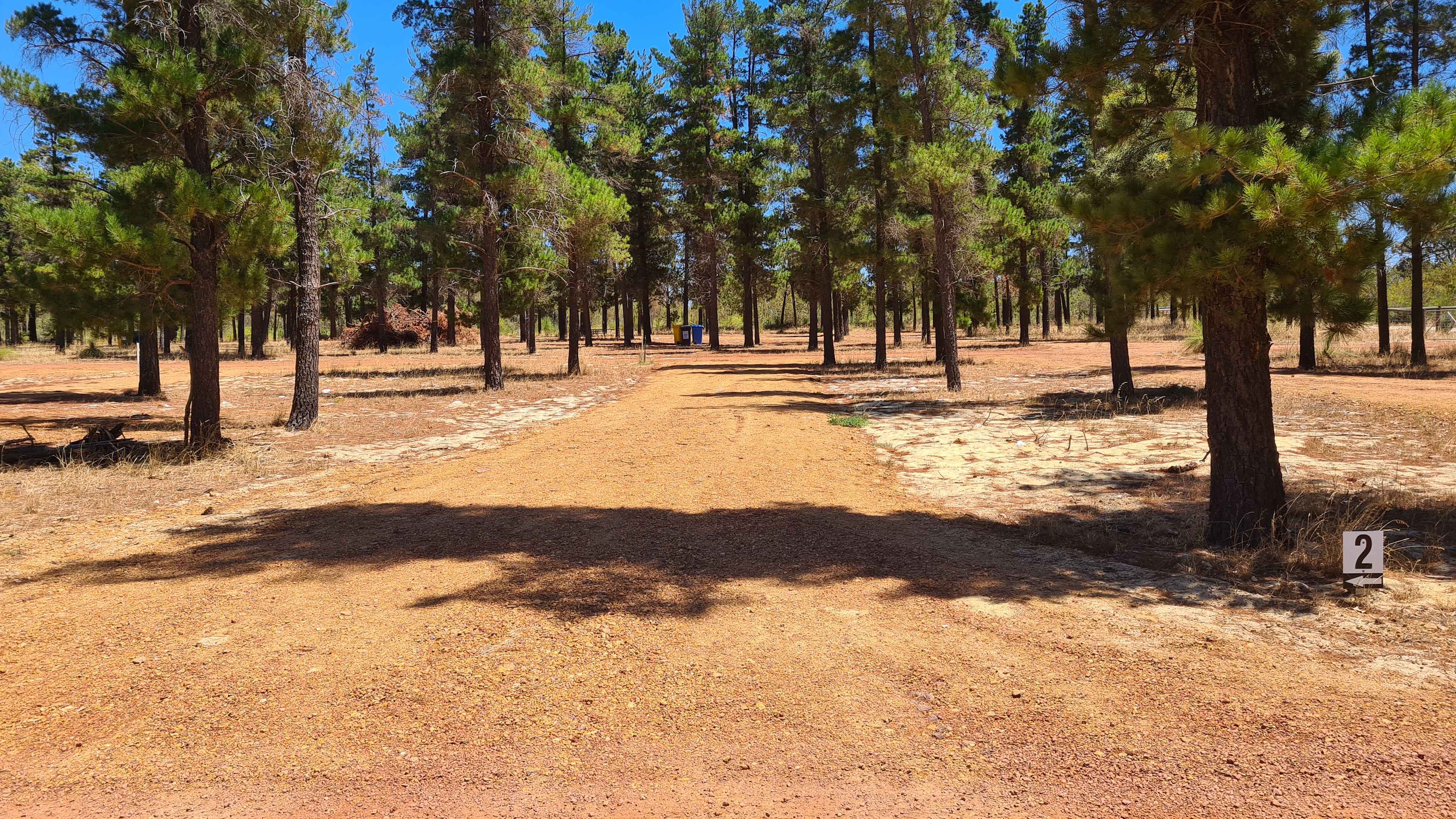 Little Eeden Farm Pine Camp