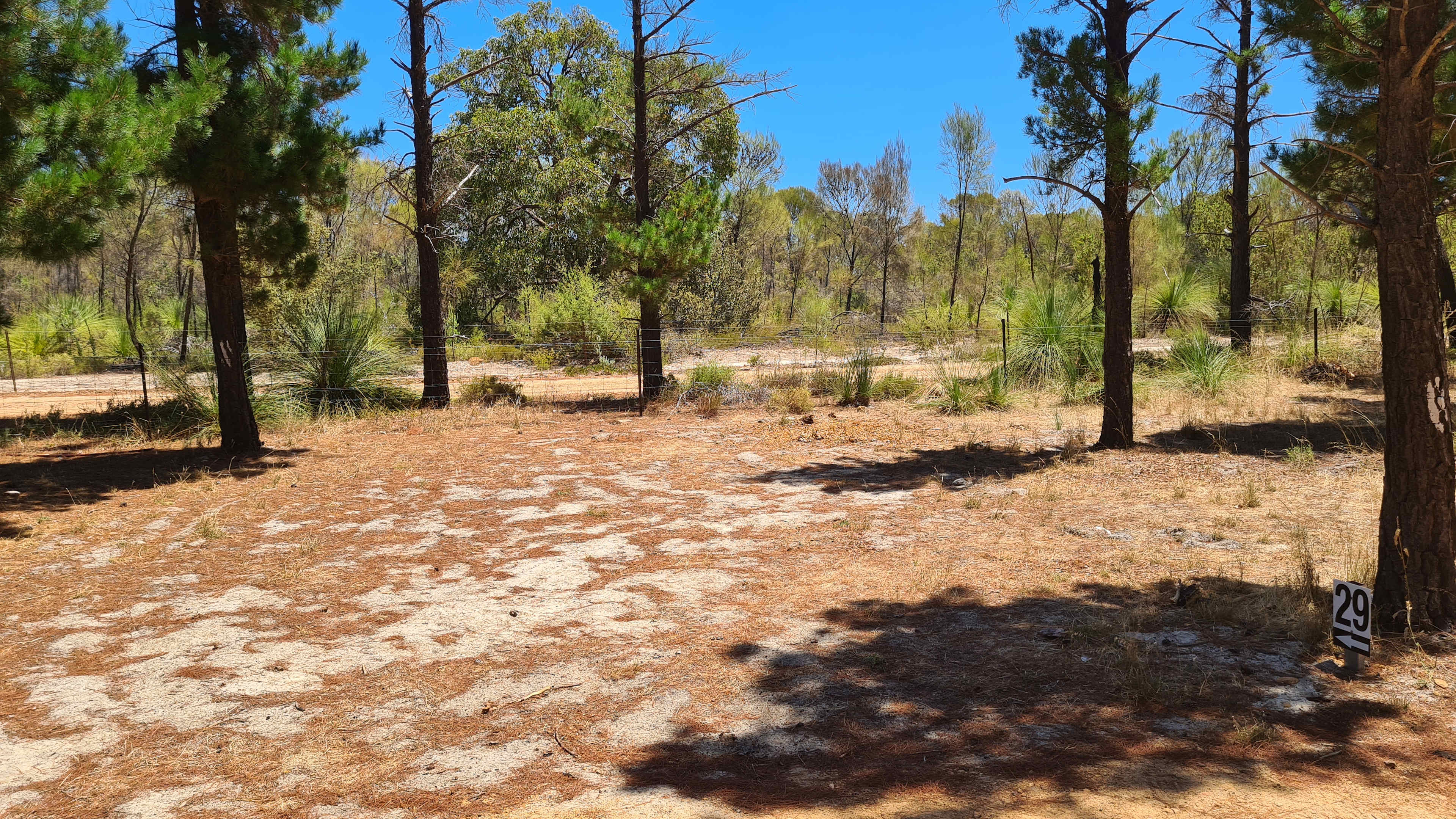 Little Eeden Farm Pine Camp