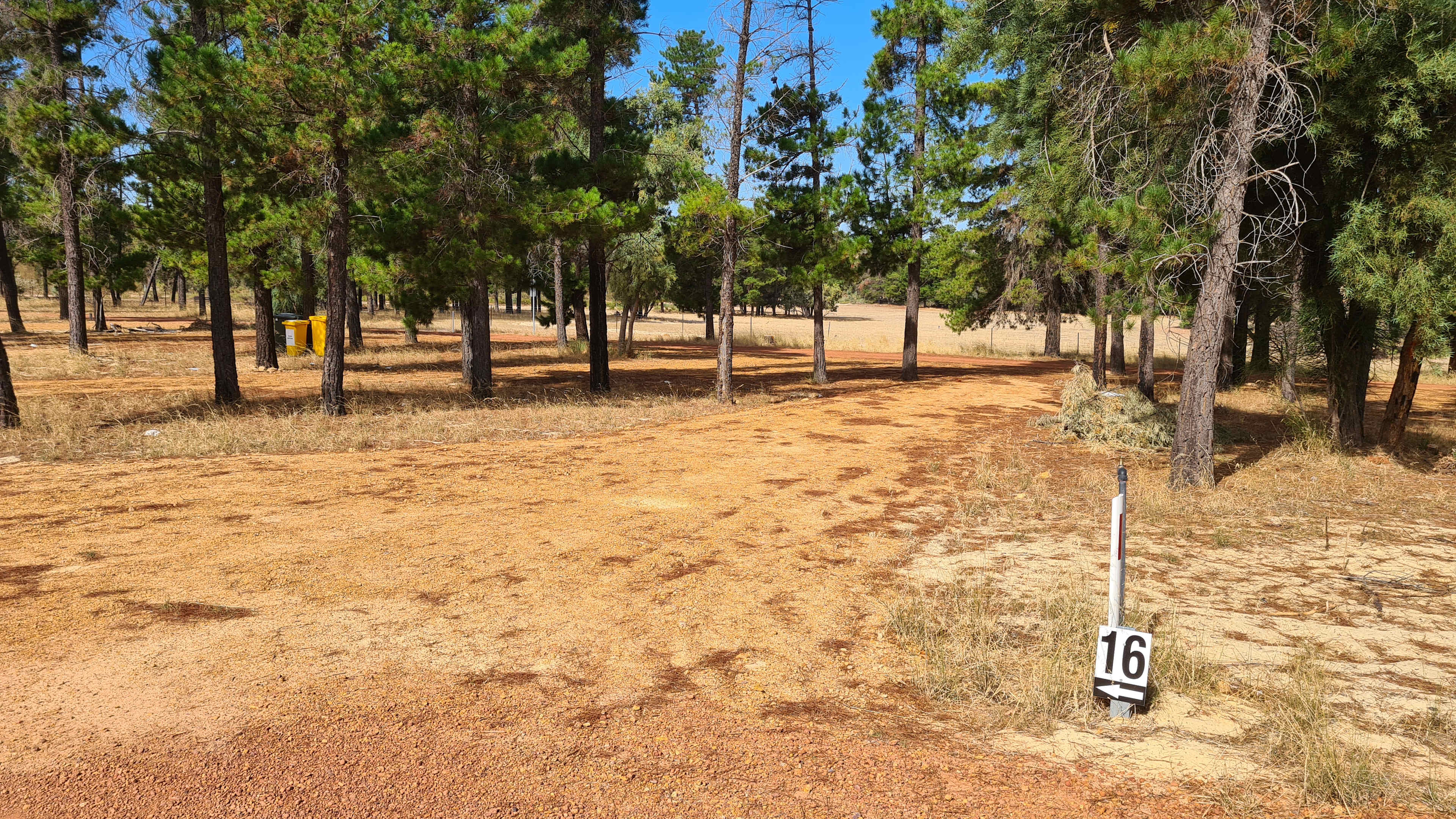 Little Eeden Farm Pine Camp