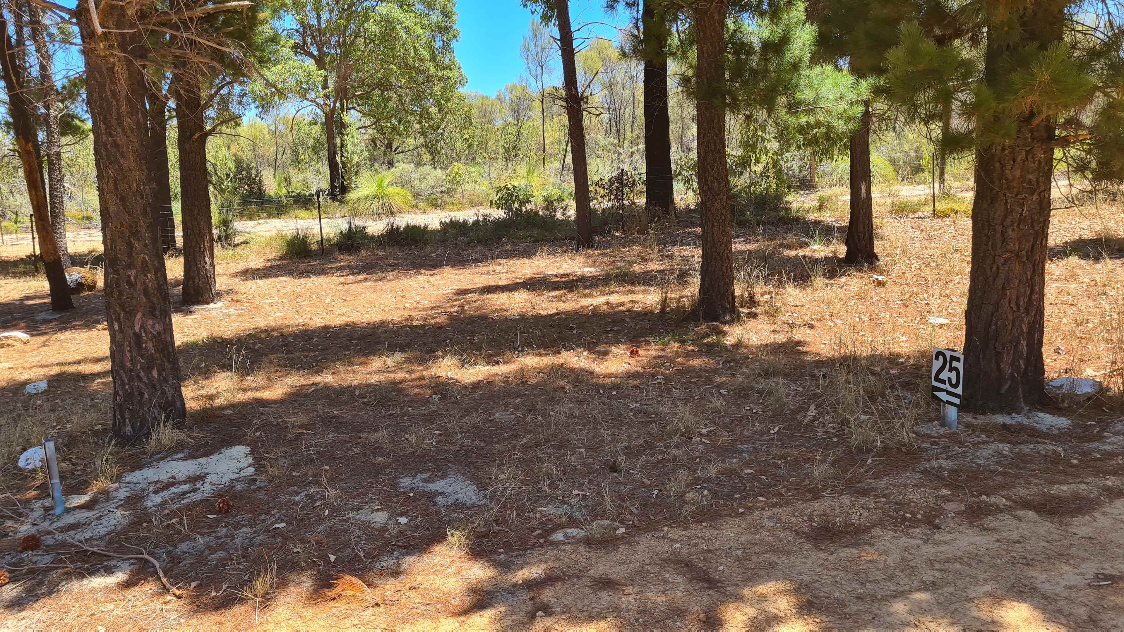 Little Eeden Farm Pine Camp