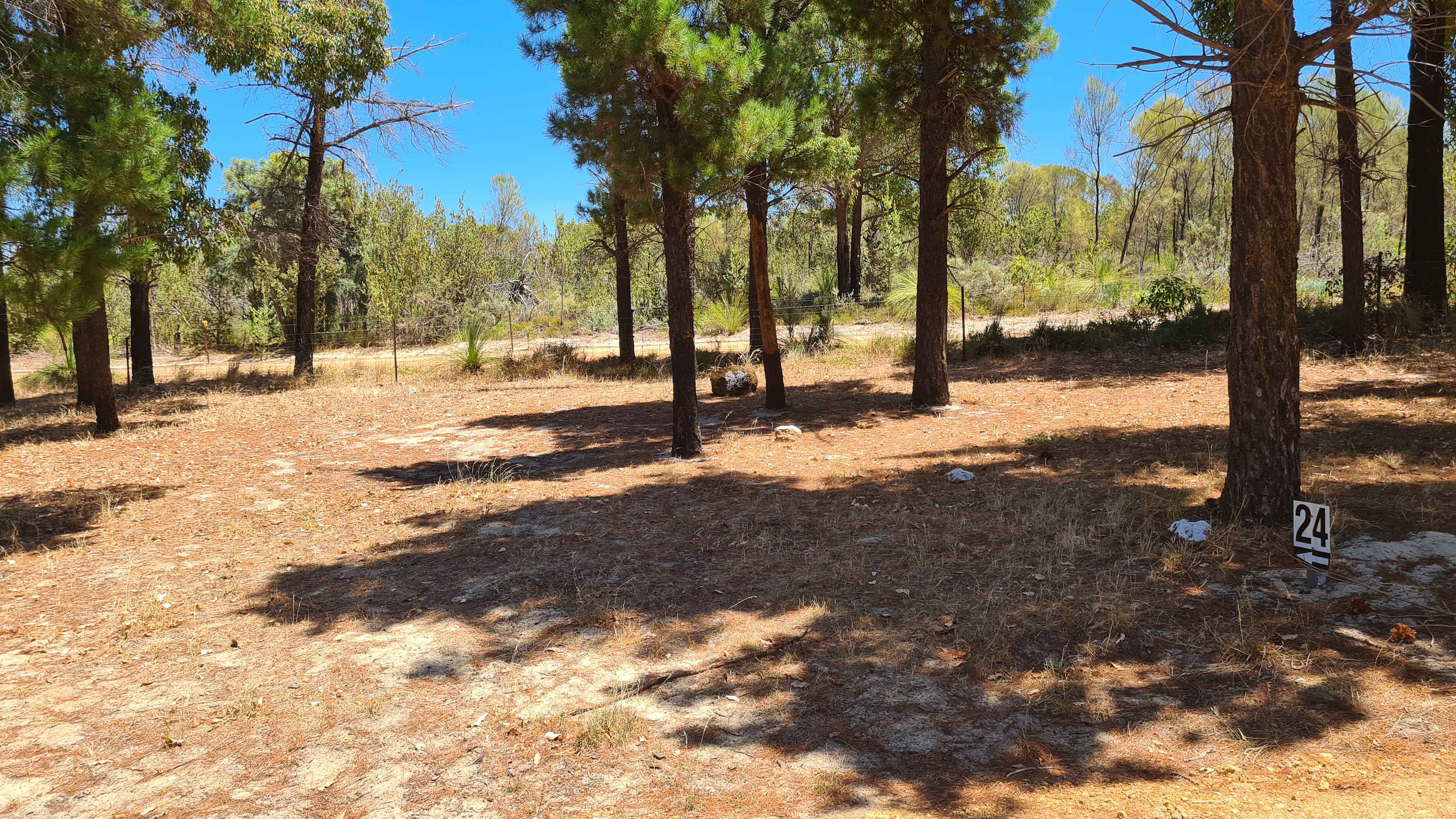 Little Eeden Farm Pine Camp