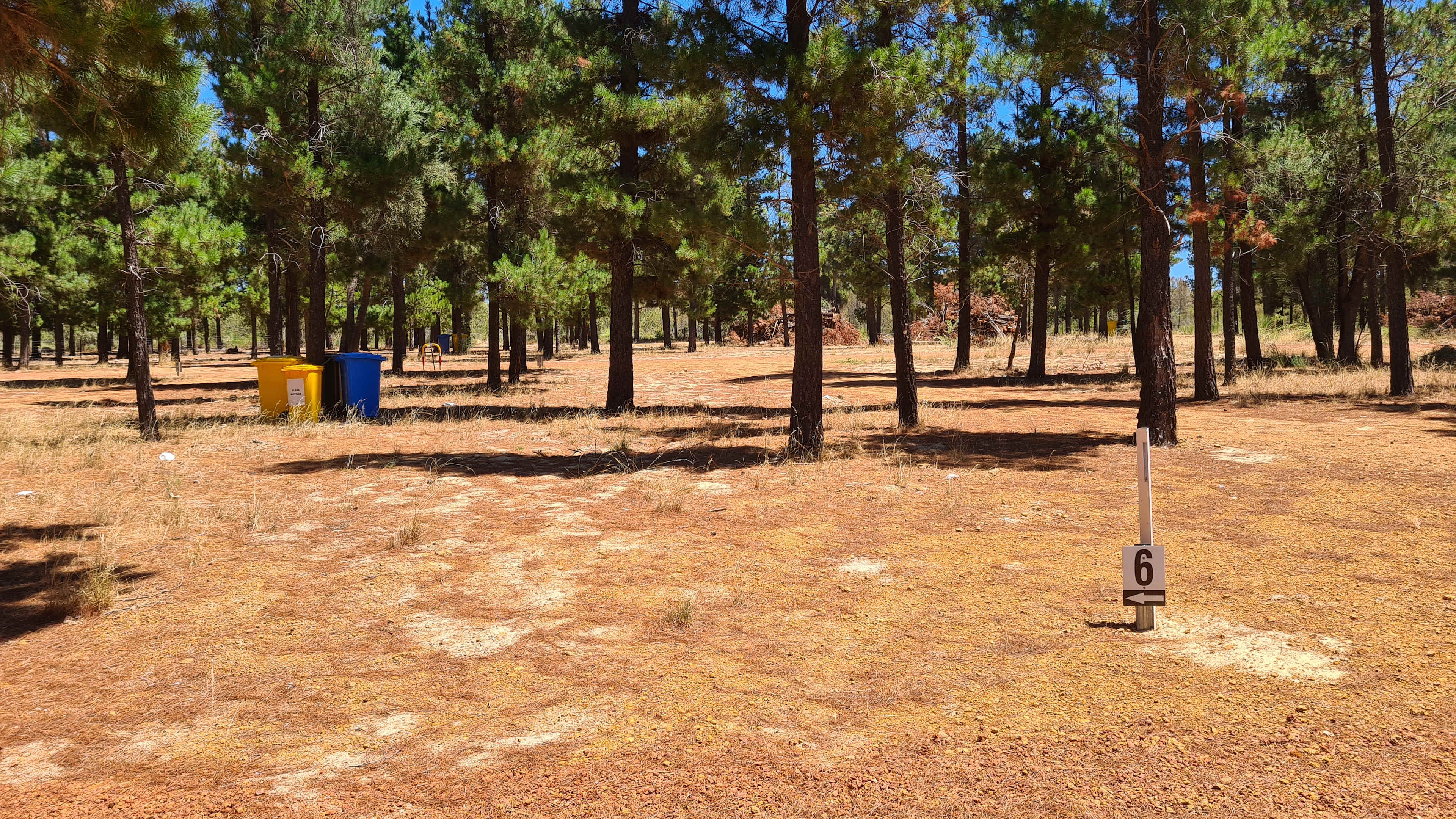 Little Eeden Farm Pine Camp
