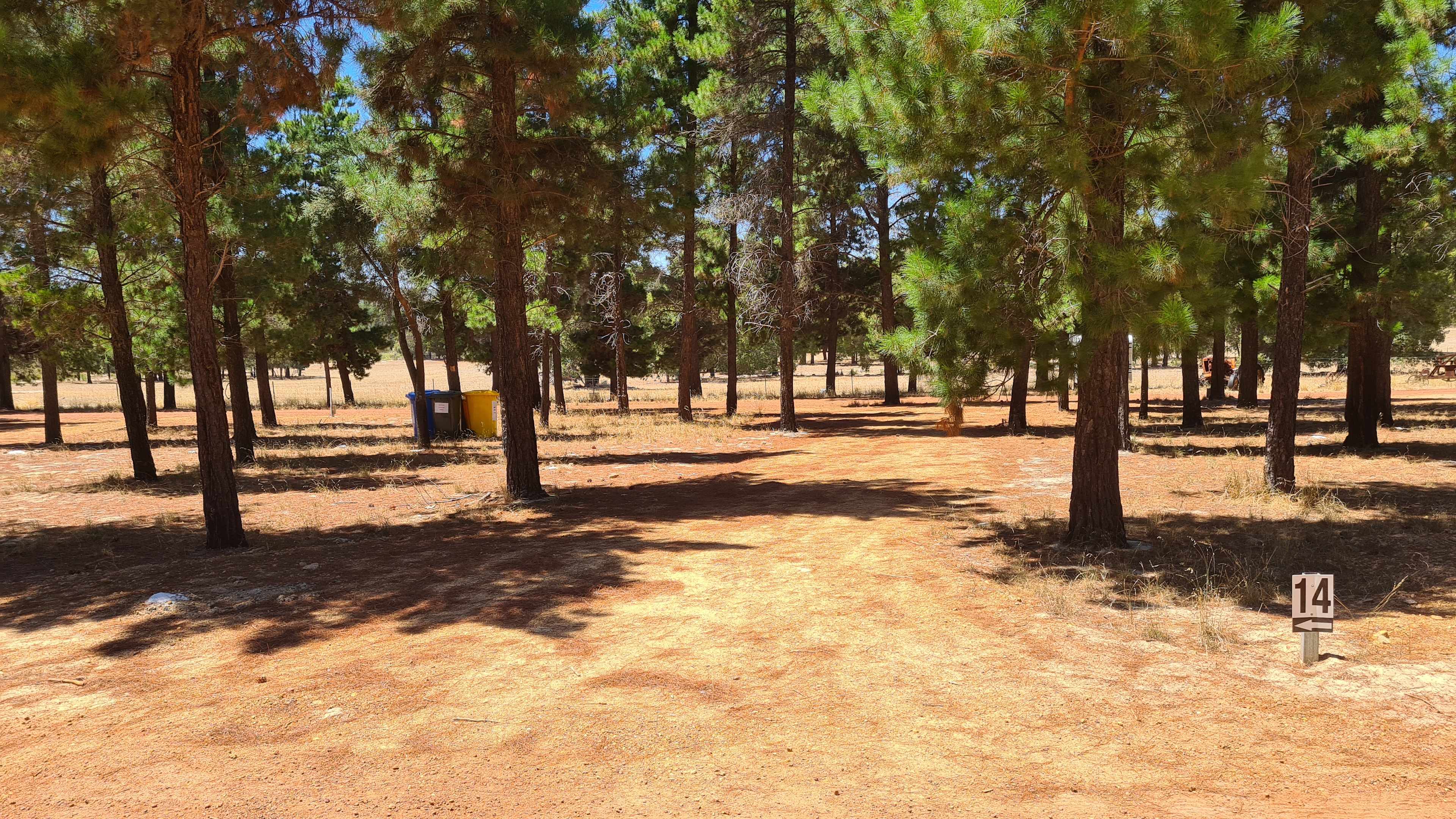 Little Eeden Farm Pine Camp