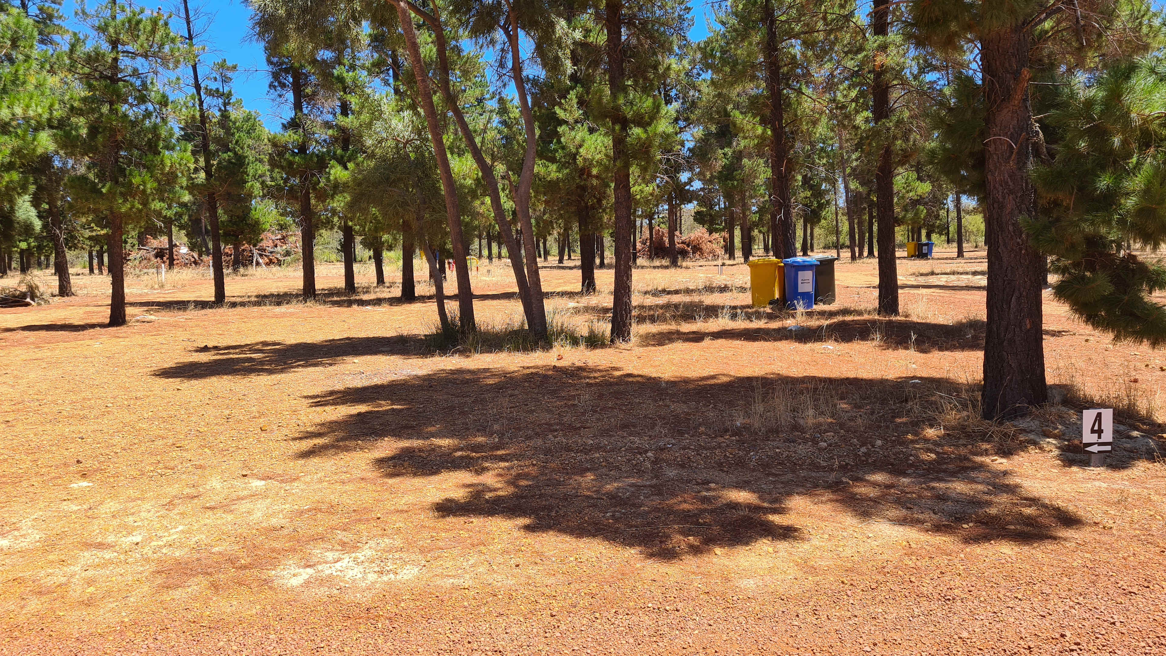 Little Eeden Farm Pine Camp
