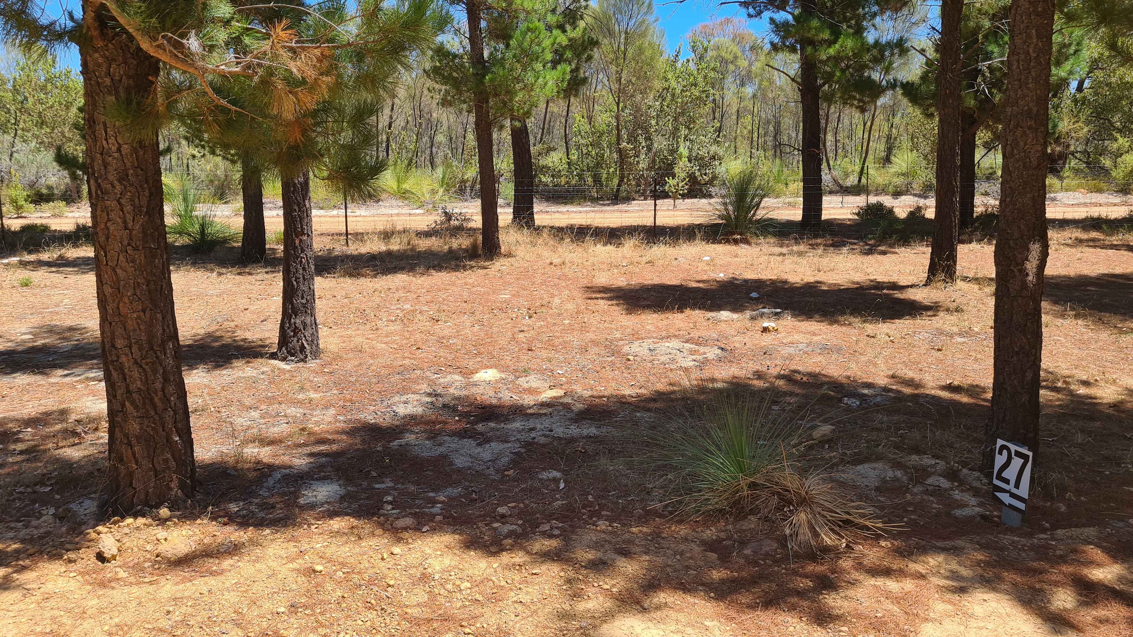 Little Eeden Farm Pine Camp