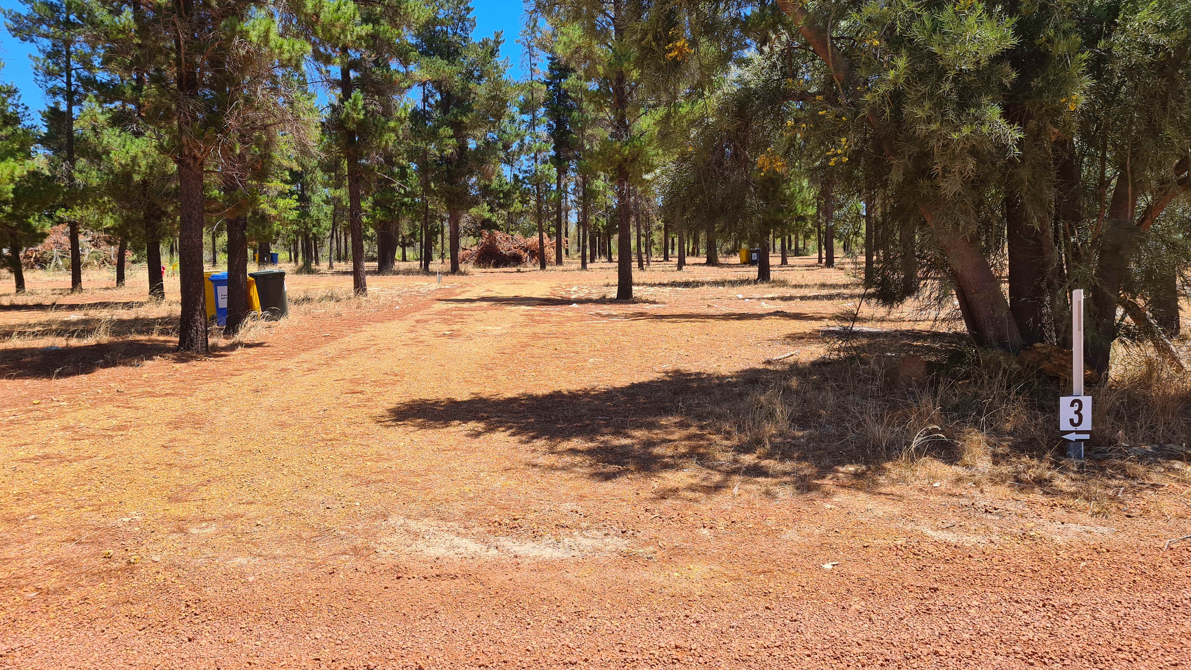 Little Eeden Farm Pine Camp