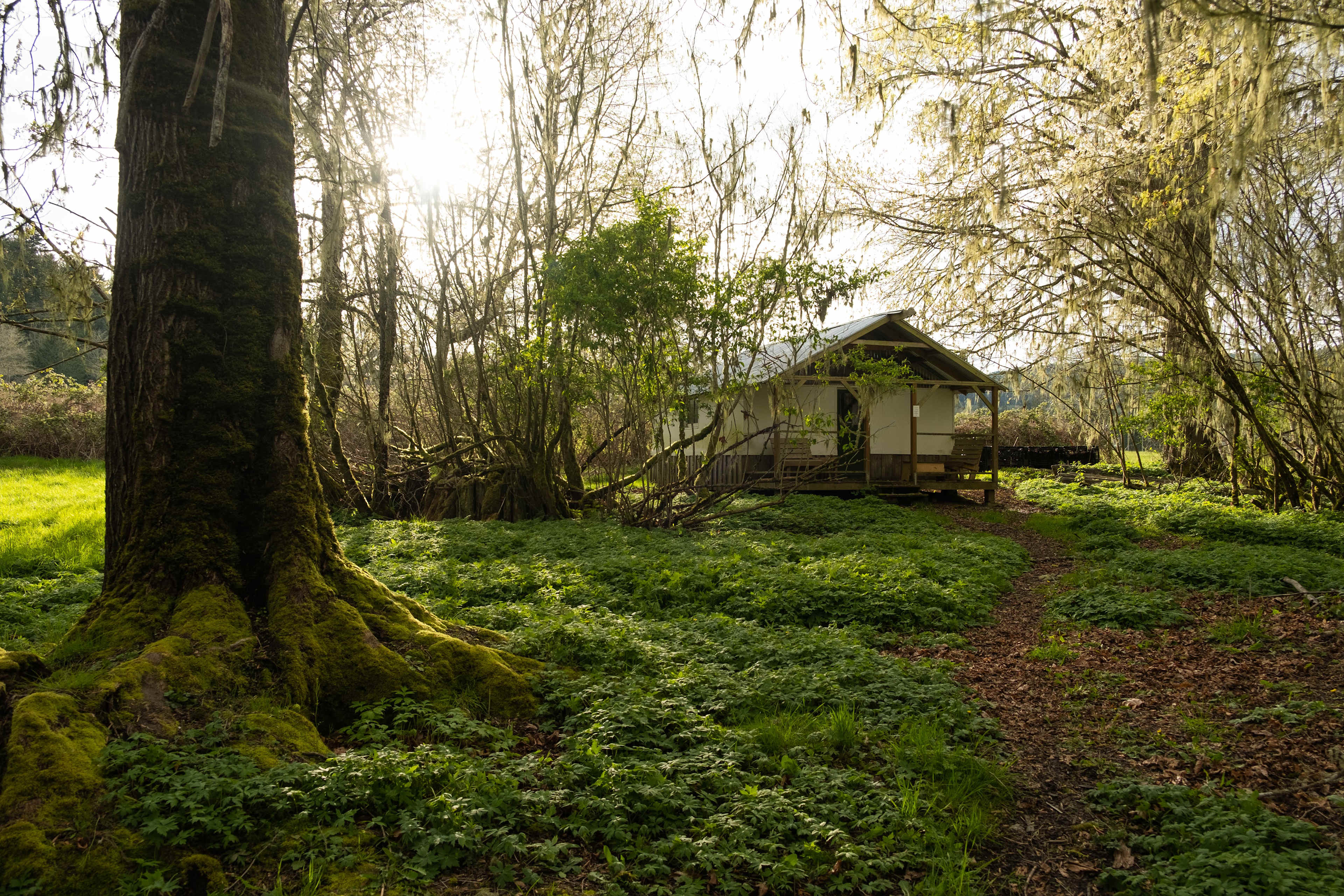 Cotton Cabin