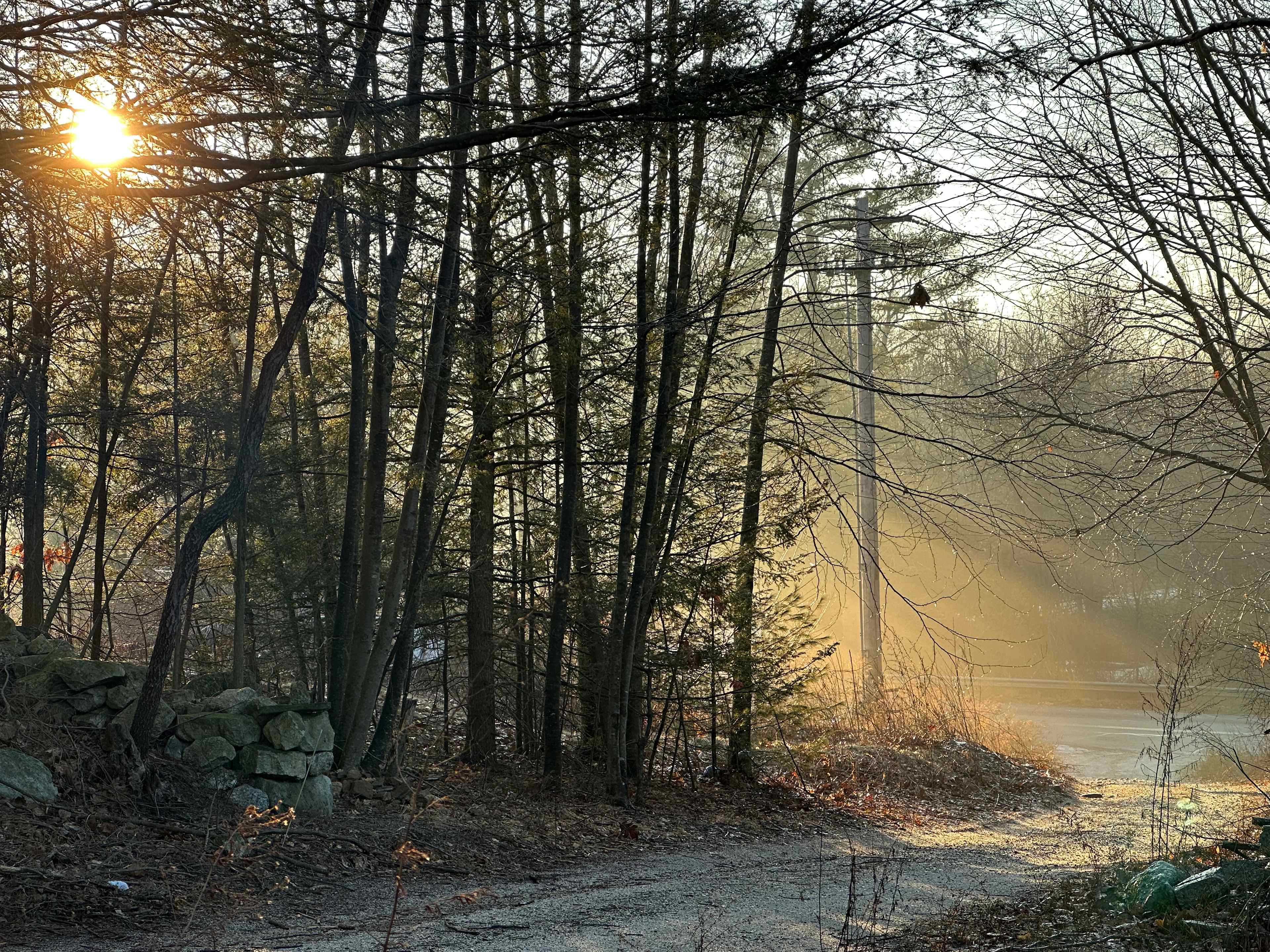 Rehovot Glen