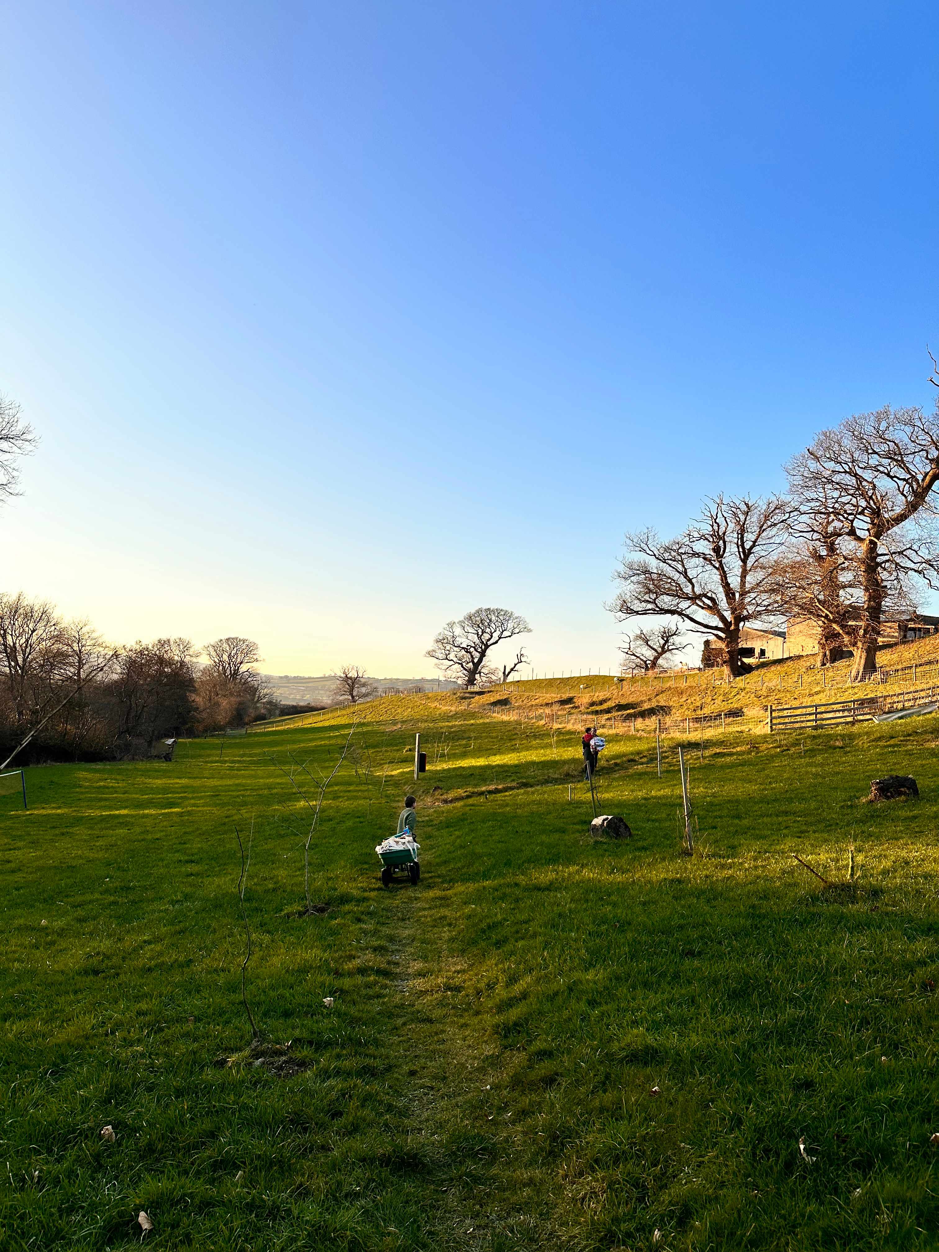 Hollow Oak Glamping