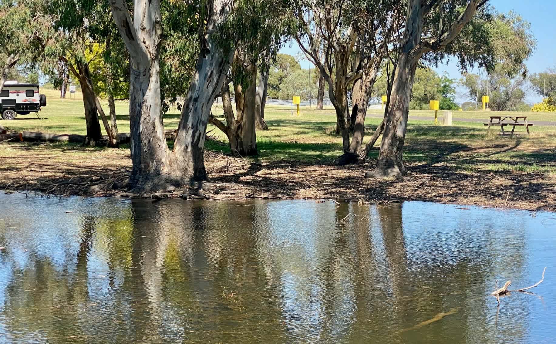 Borenore Billabong Field Days site