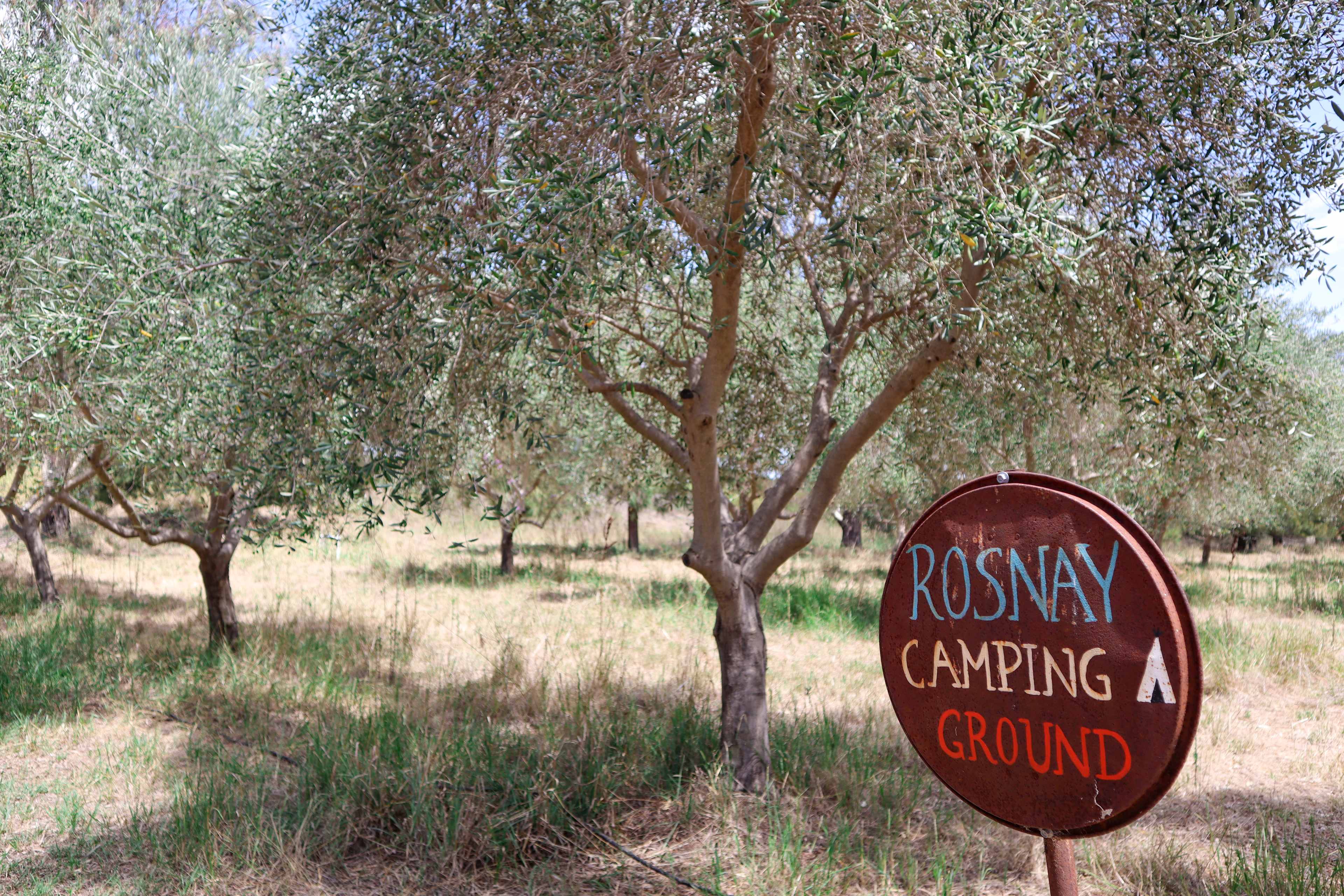 Camping in the Rosnay Olive Grove