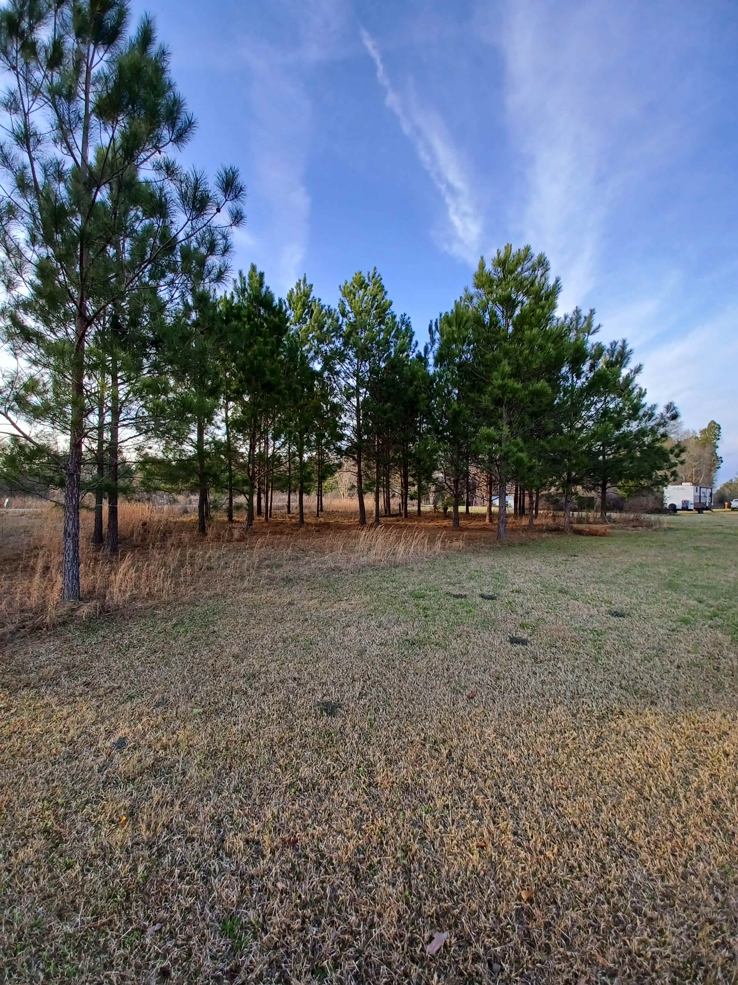 Circle E Ranch and Funny Farm
