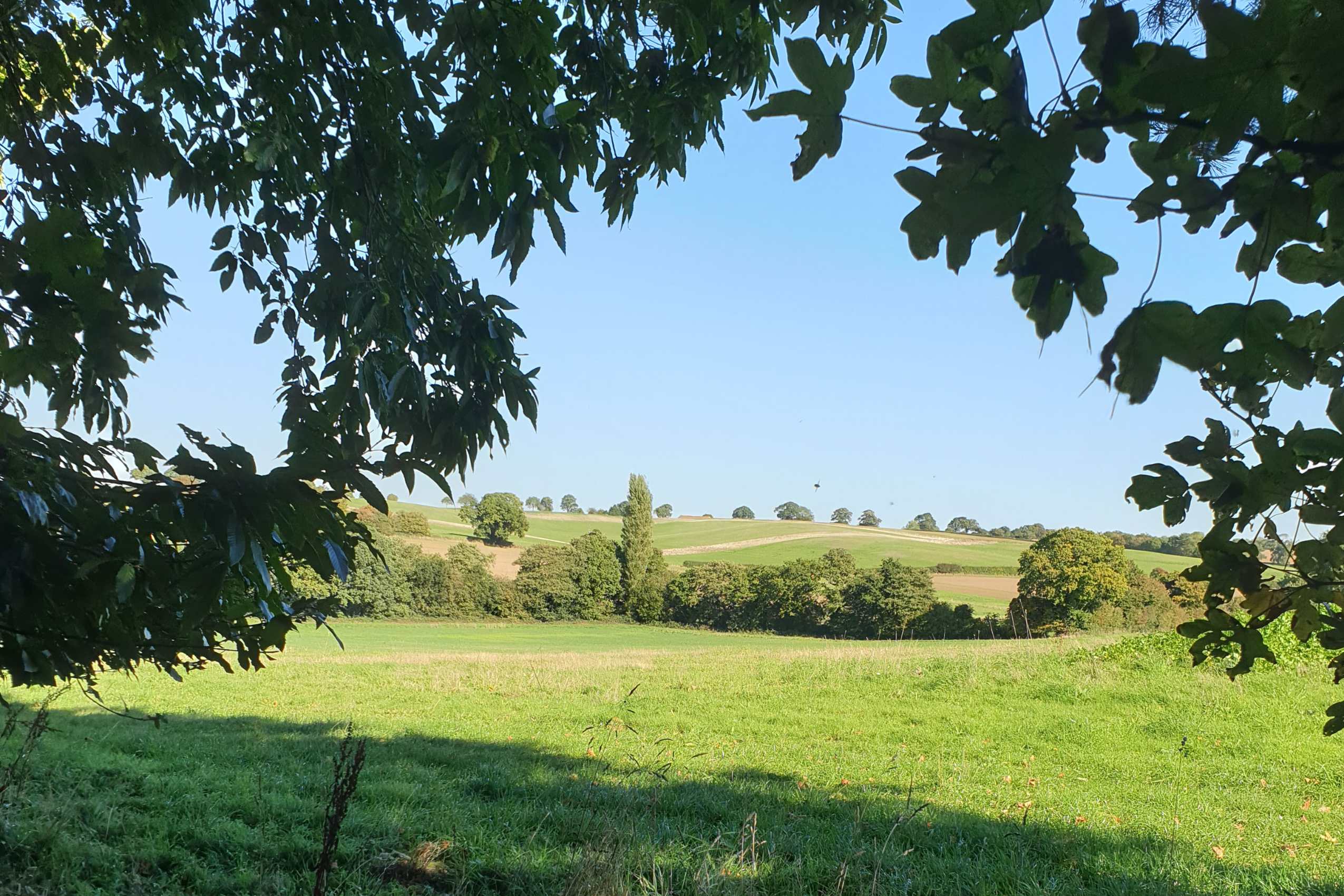 North Norfolk Camping & Glamping