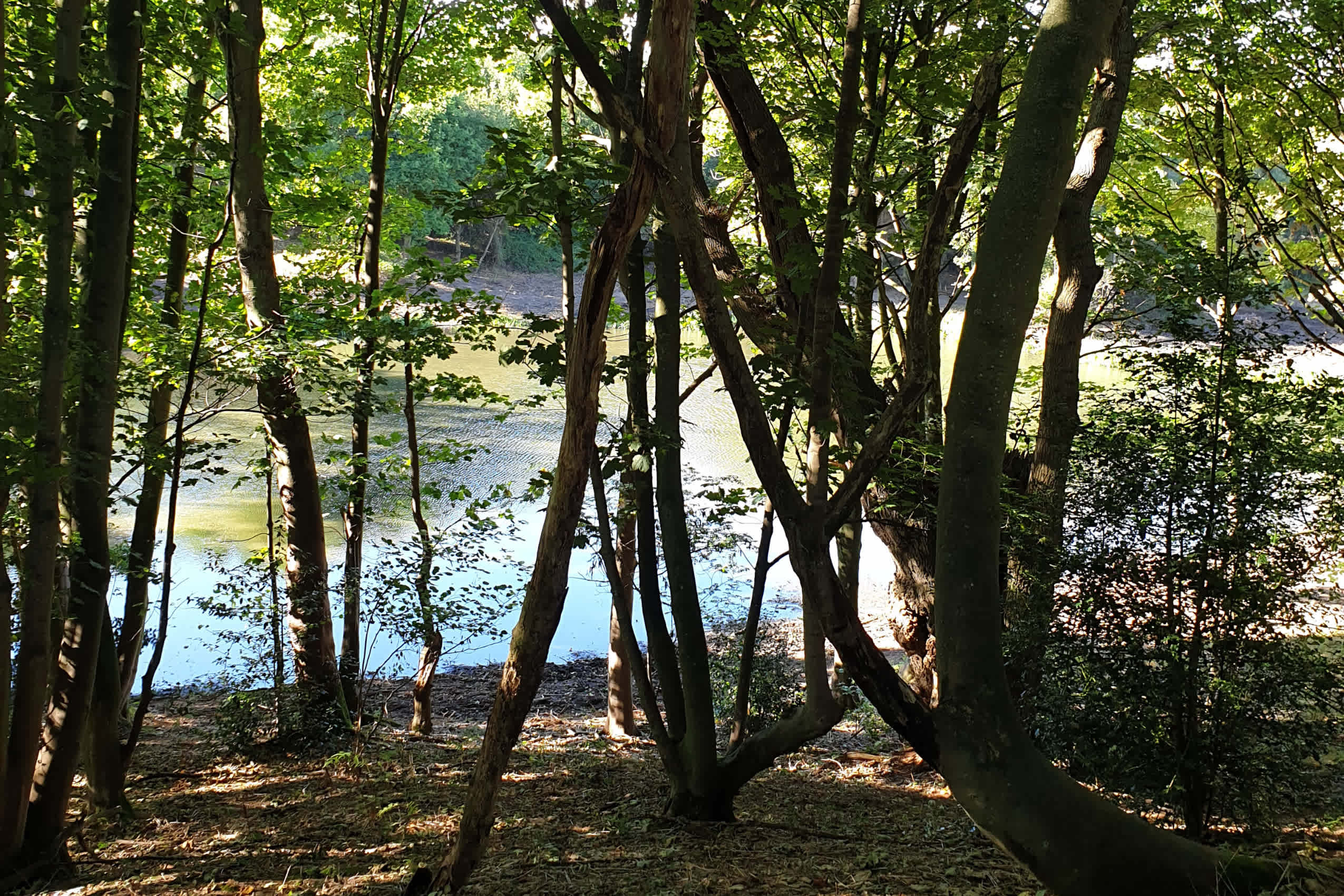 North Norfolk Camping & Glamping