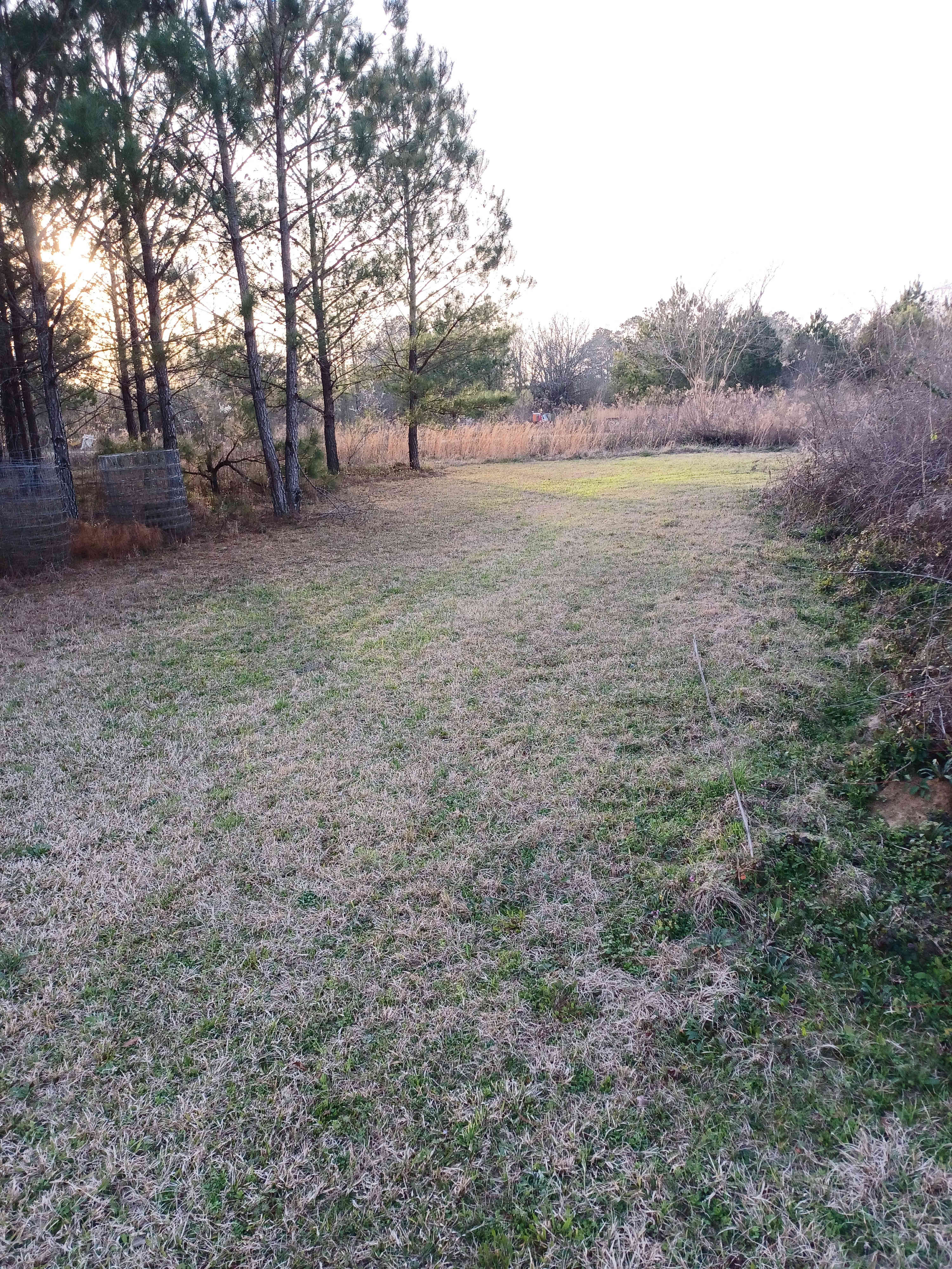 Circle E Ranch and Funny Farm