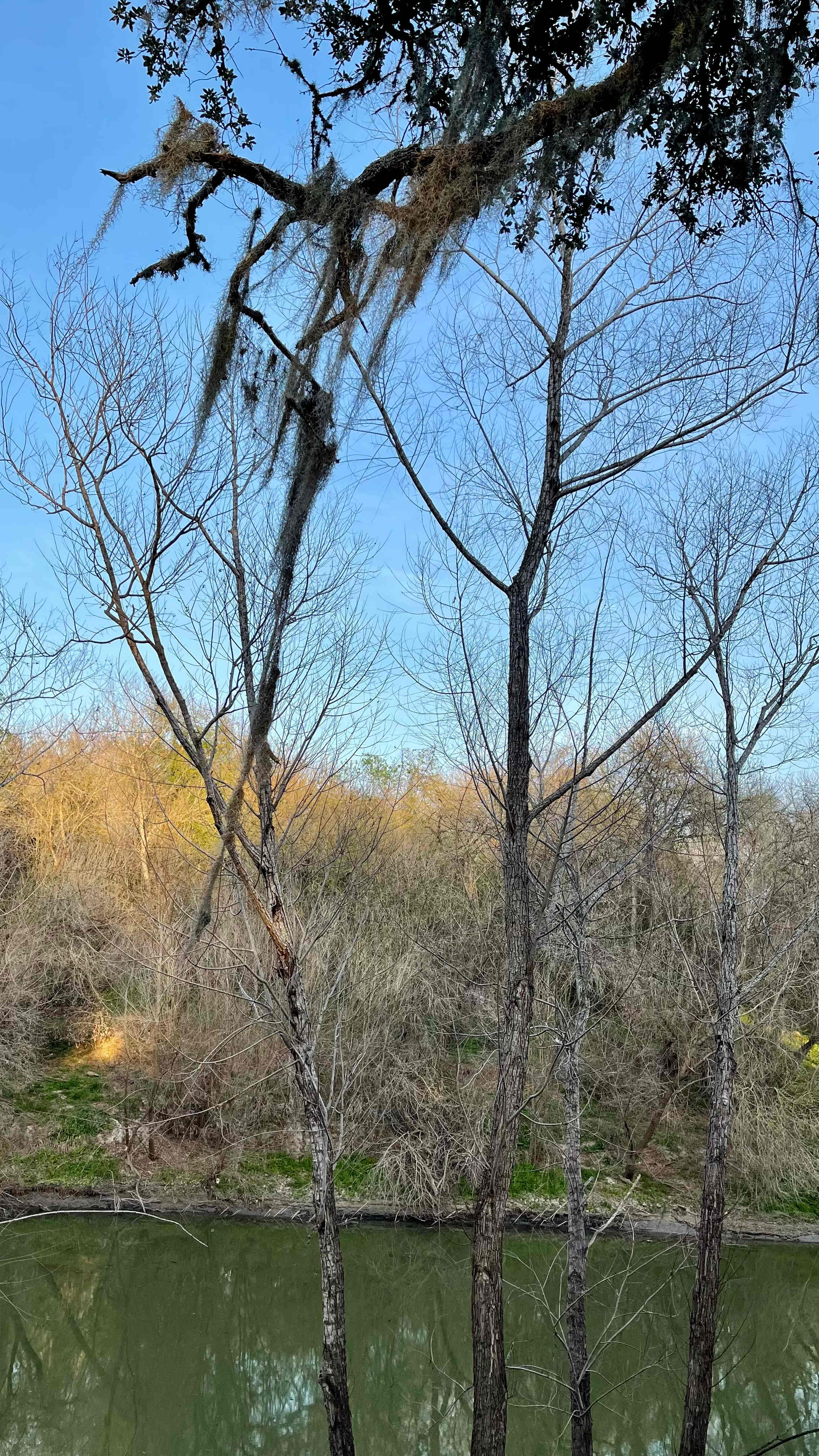 Nueces River Retreat