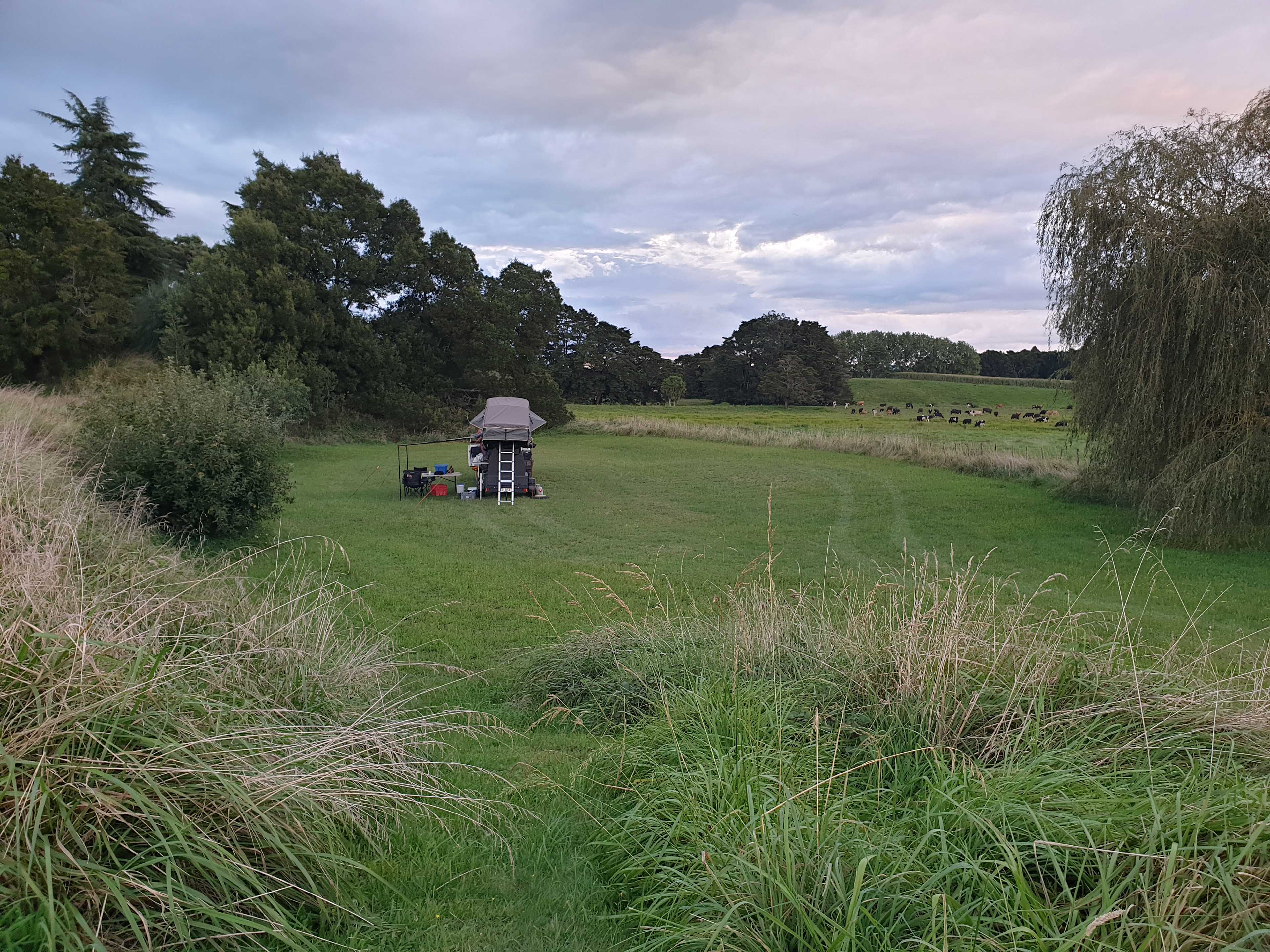 Whitikahu Glade
