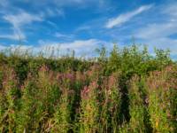 High Farm Holiday Park Ltd