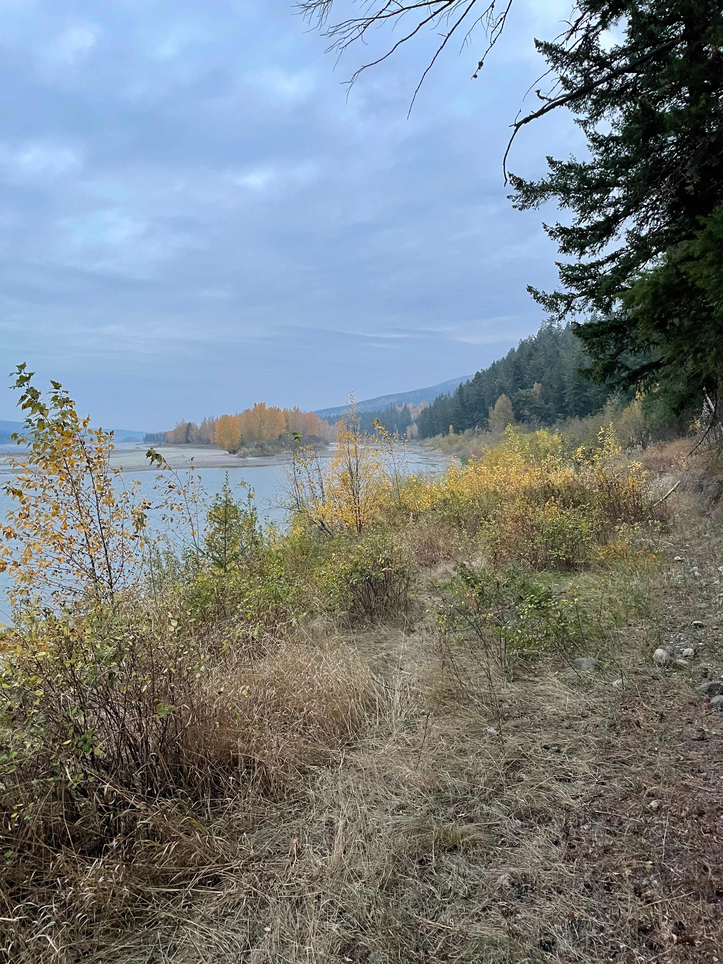 Kodama Institute and hobby farm