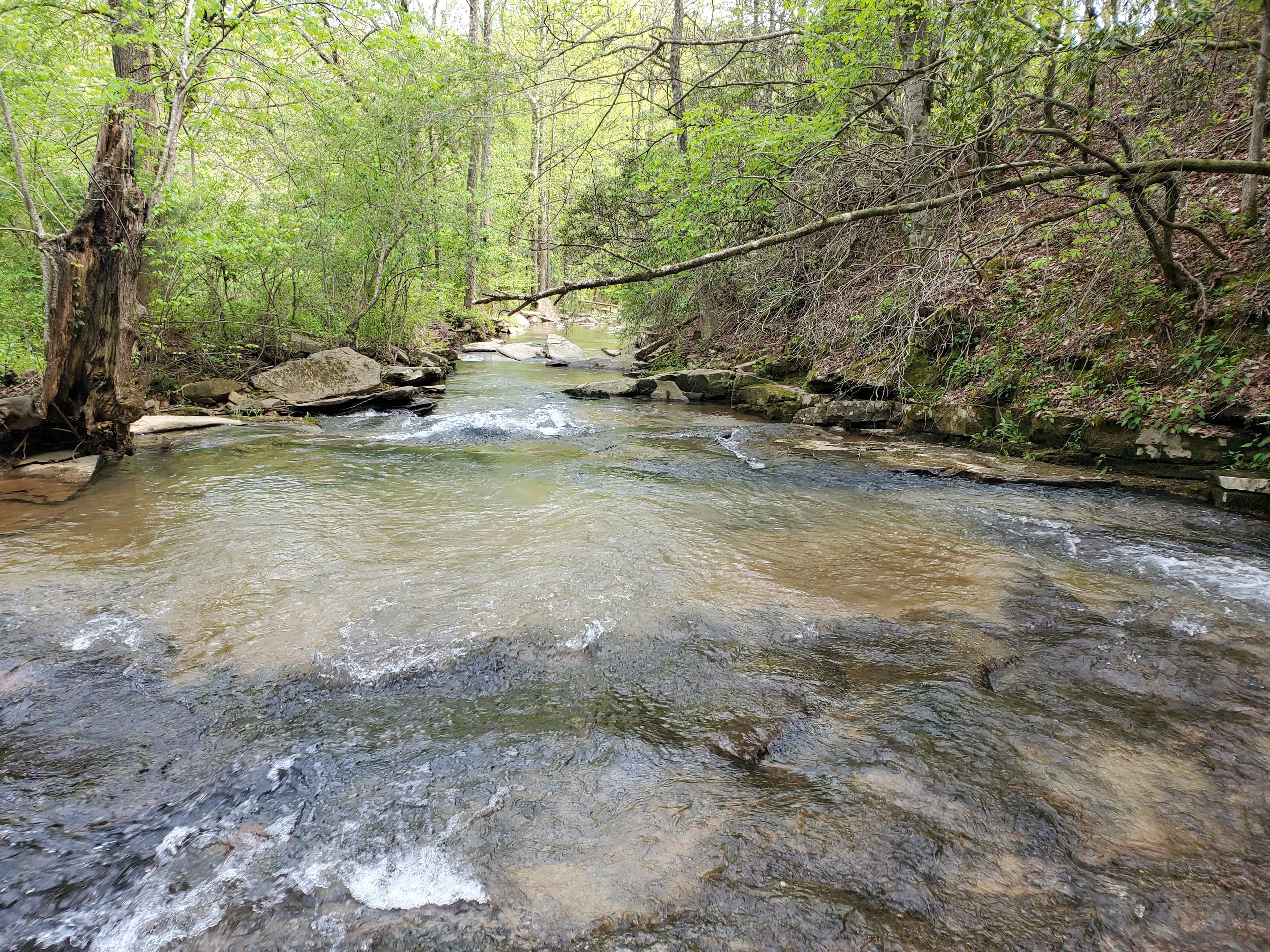 LunaWolfFarm