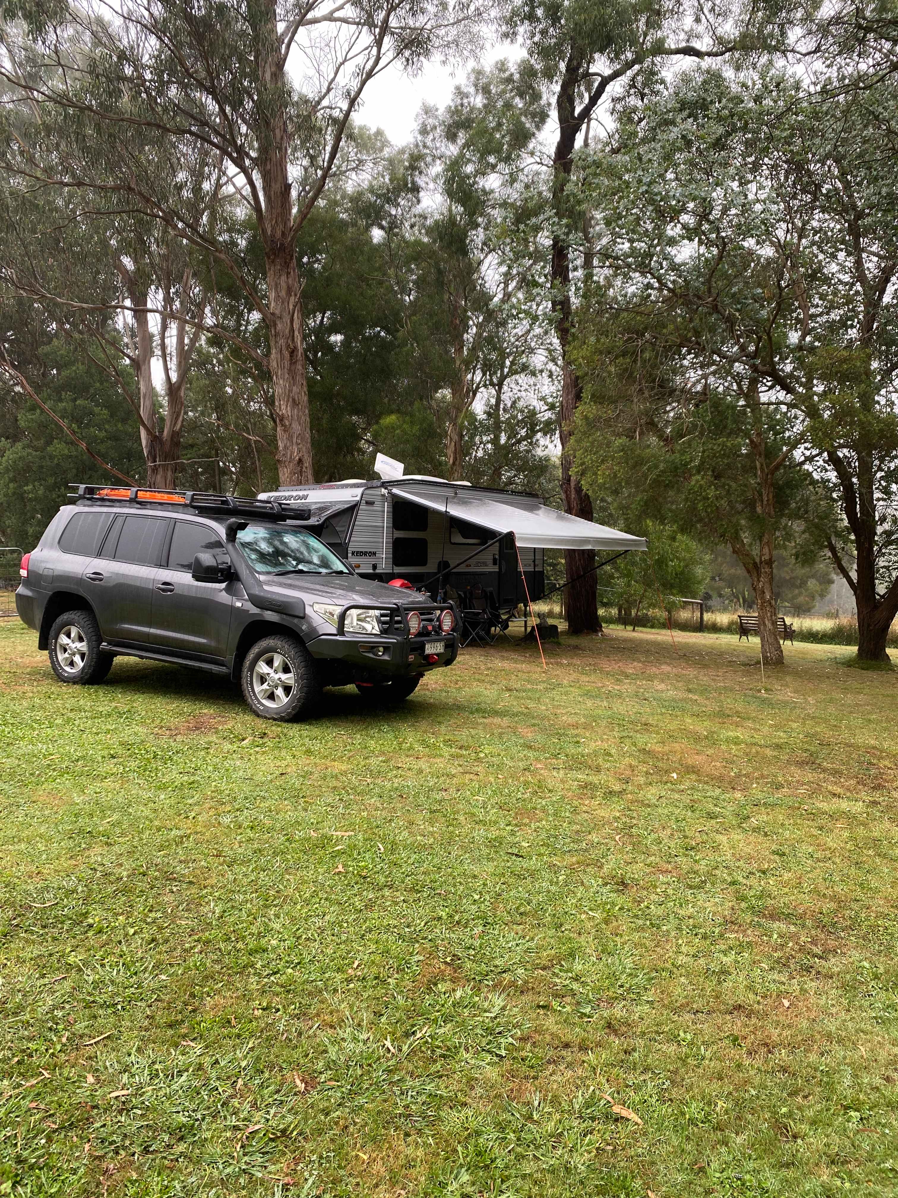 Our corner of the property 