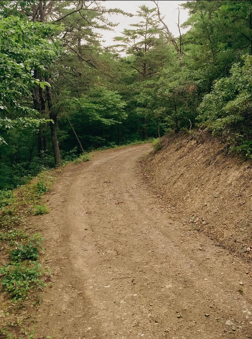 High Lonesome Alleghany