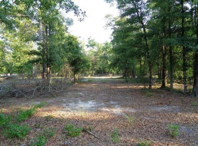 Seago Rd Dry Camping