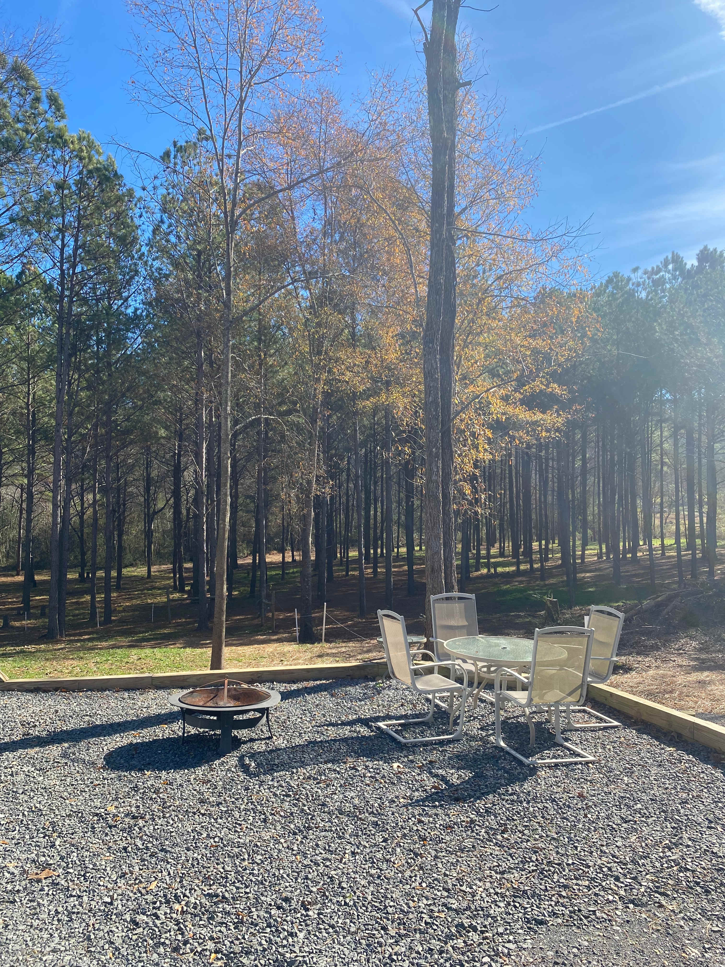 Camping in the woods in Ocoee