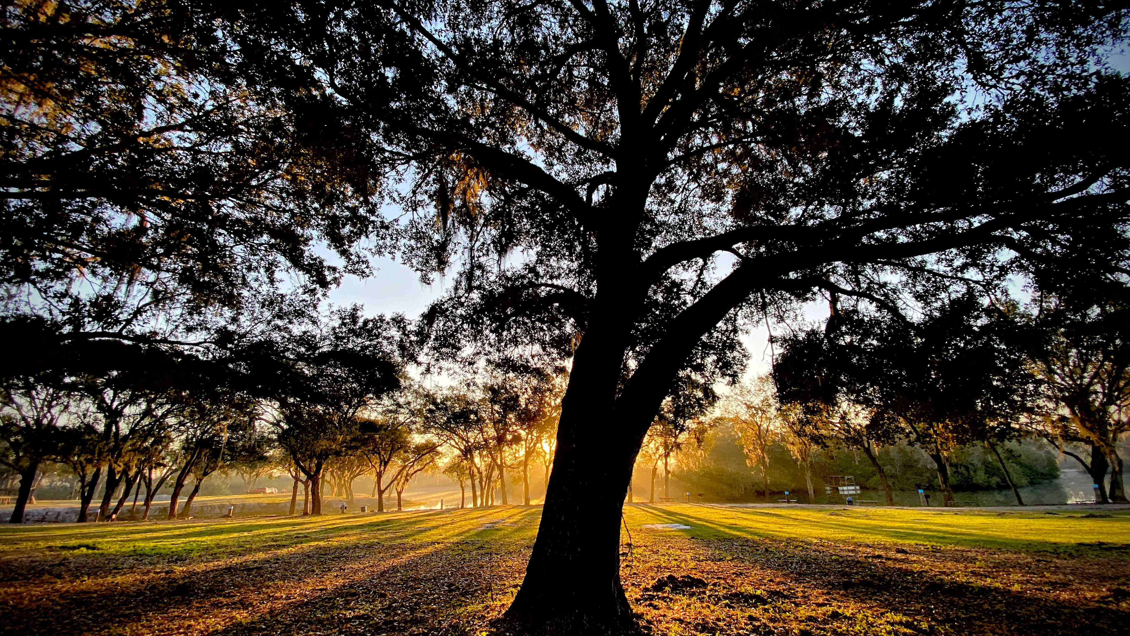 Enjoy breath taking morning views