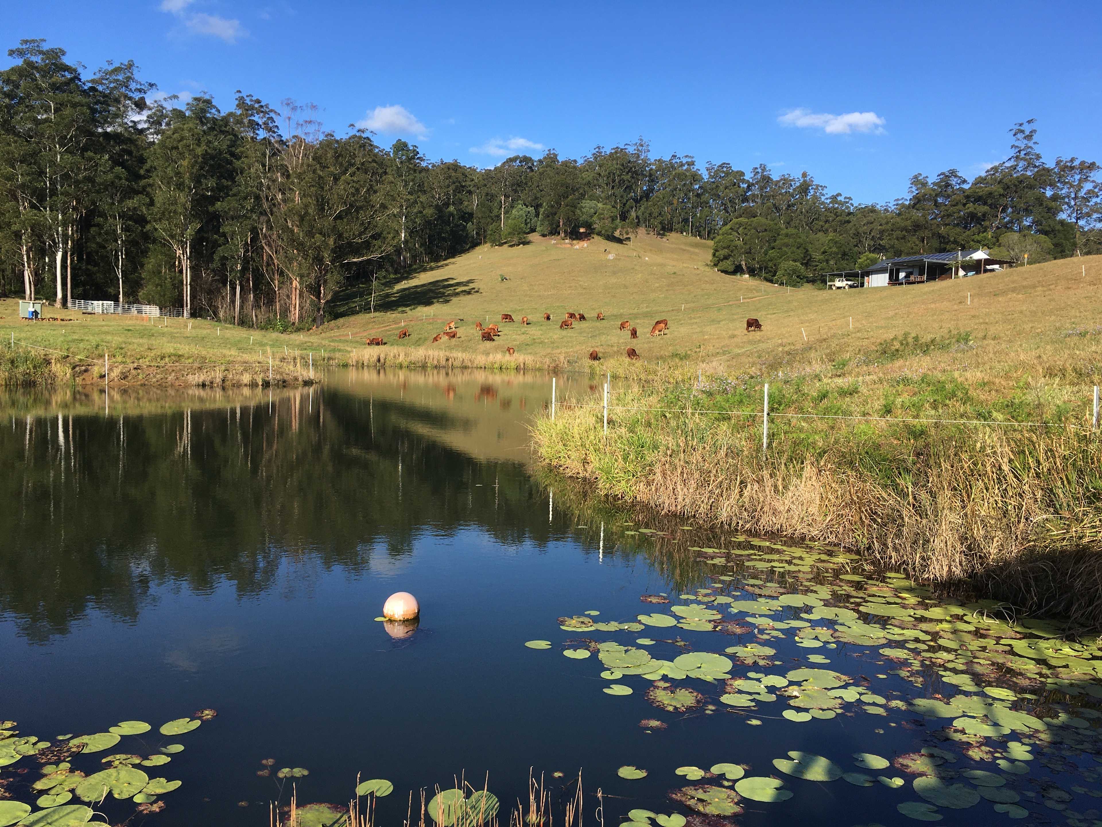 Dam view with Tin shed in the distance