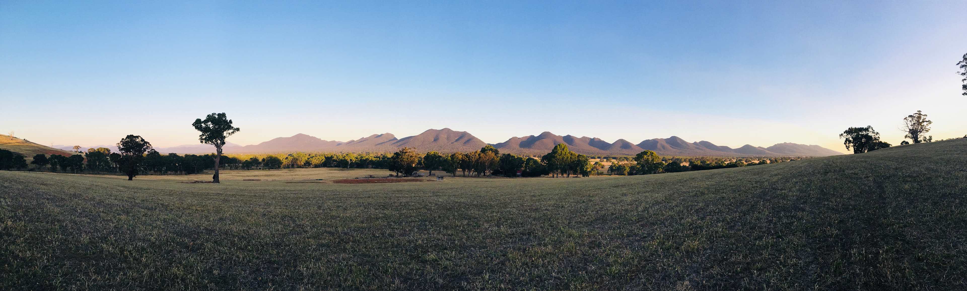 Bona Vista