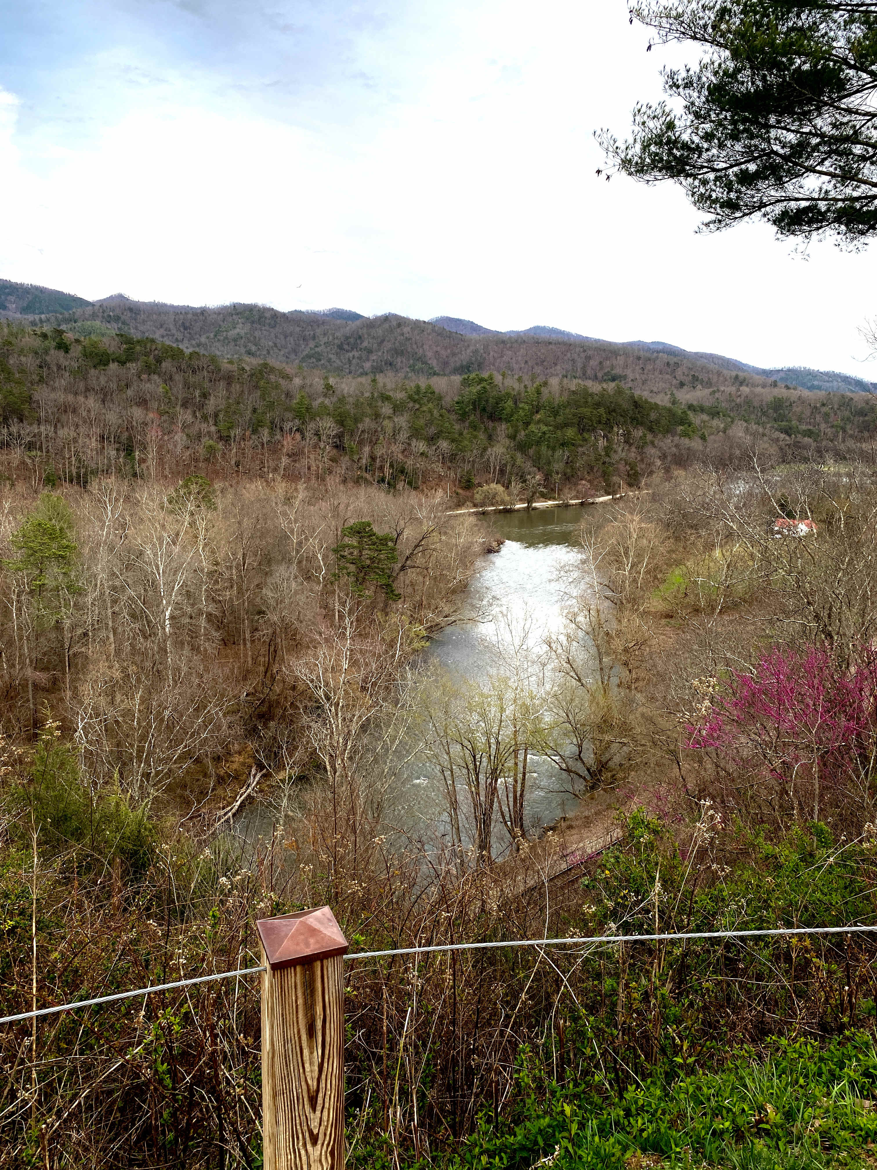 Paint Rock Farm Glamping