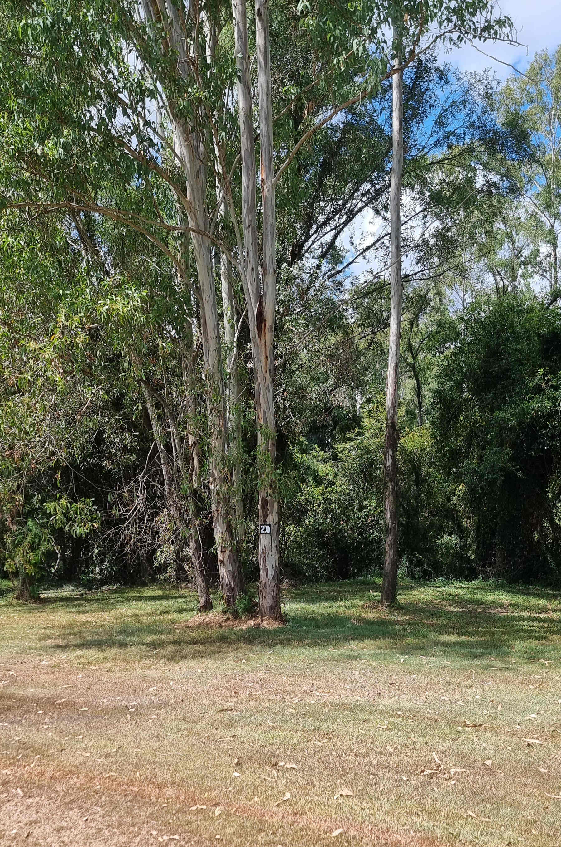 River Run Farm Camping