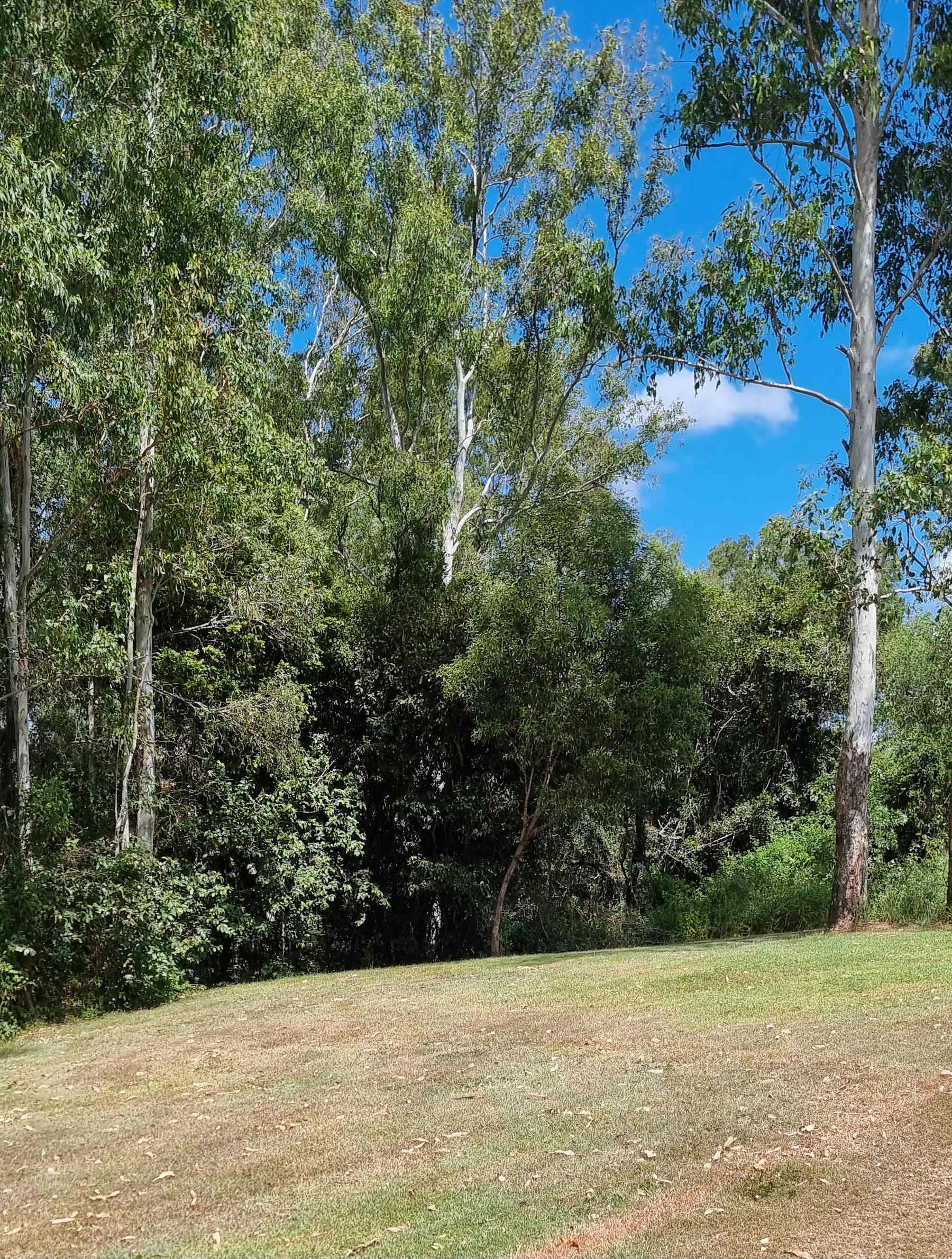 River Run Farm Camping