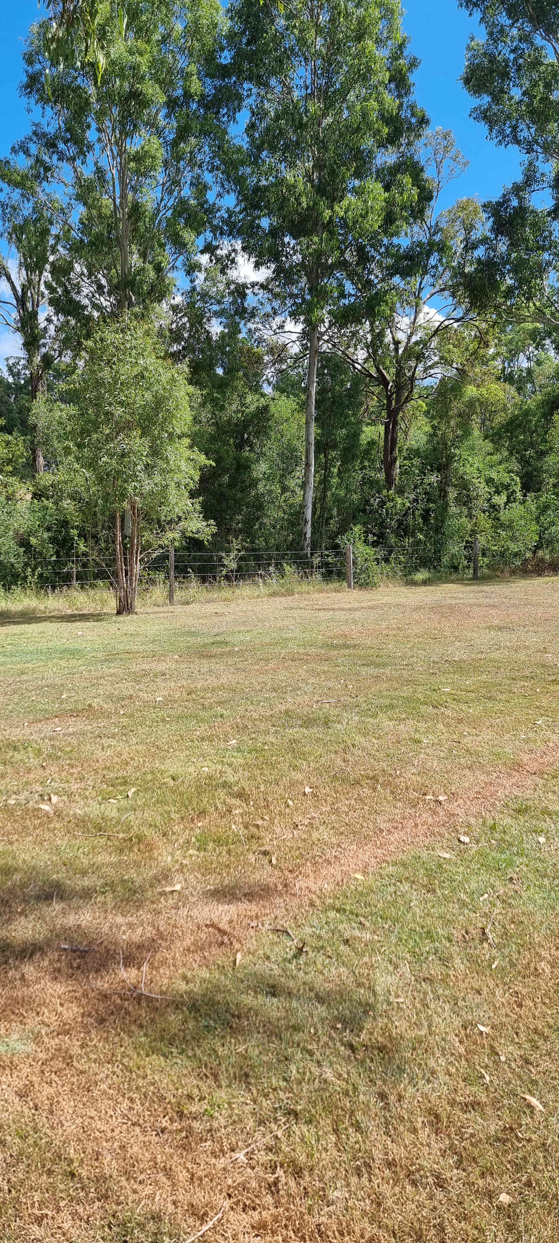 River Run Farm Camping
