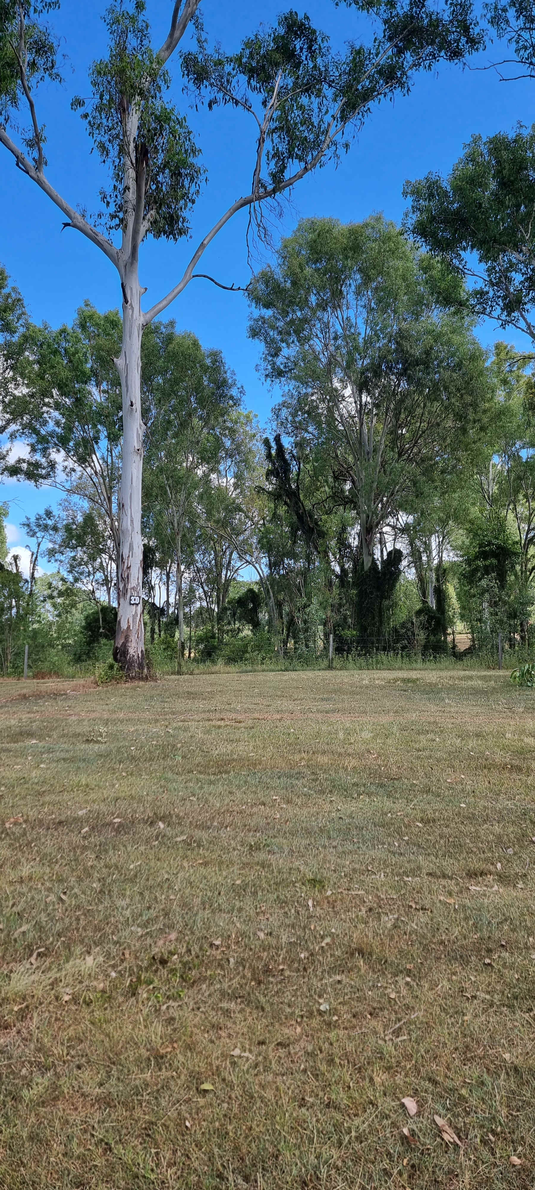 River Run Farm Camping