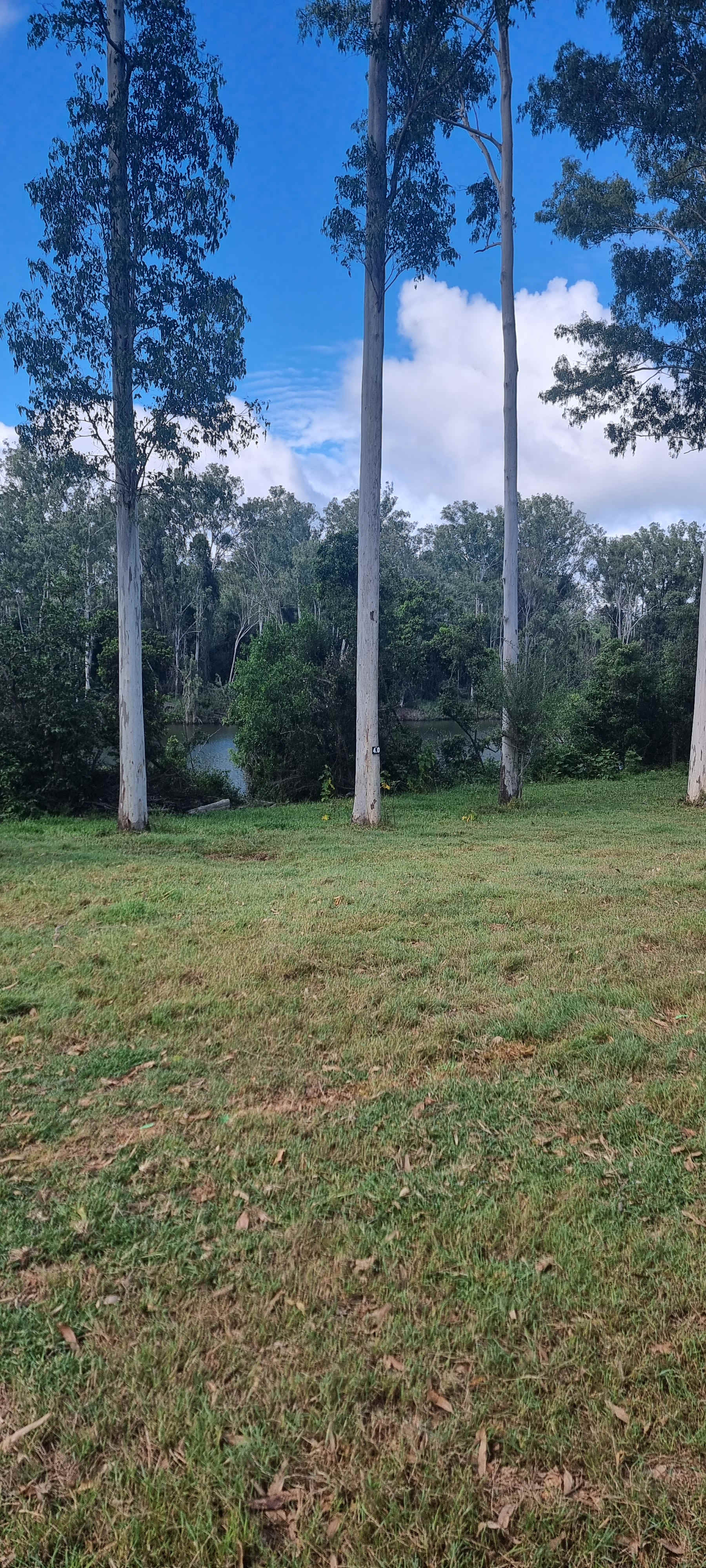 River Run Farm Camping