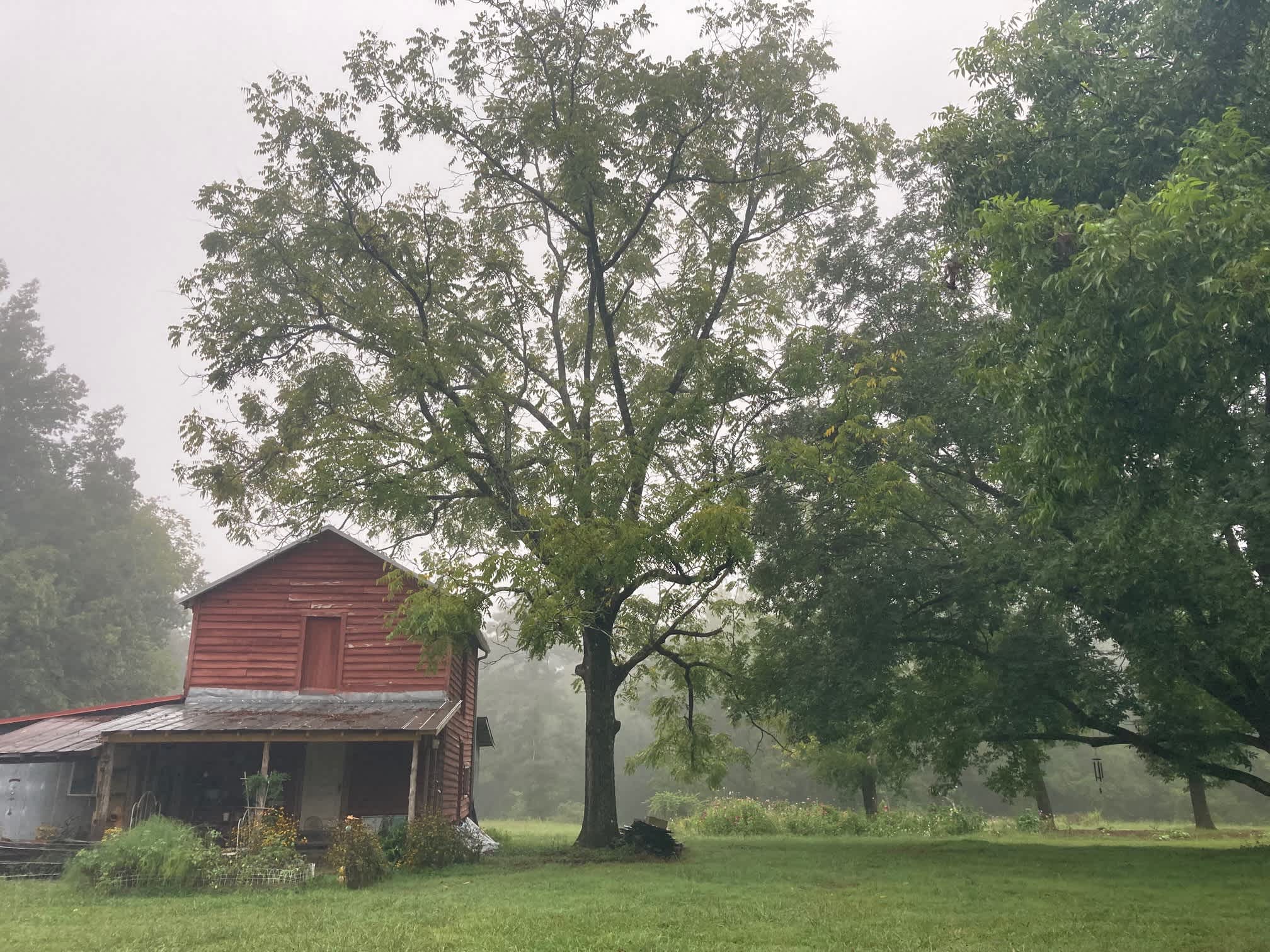 The tobacco pack house