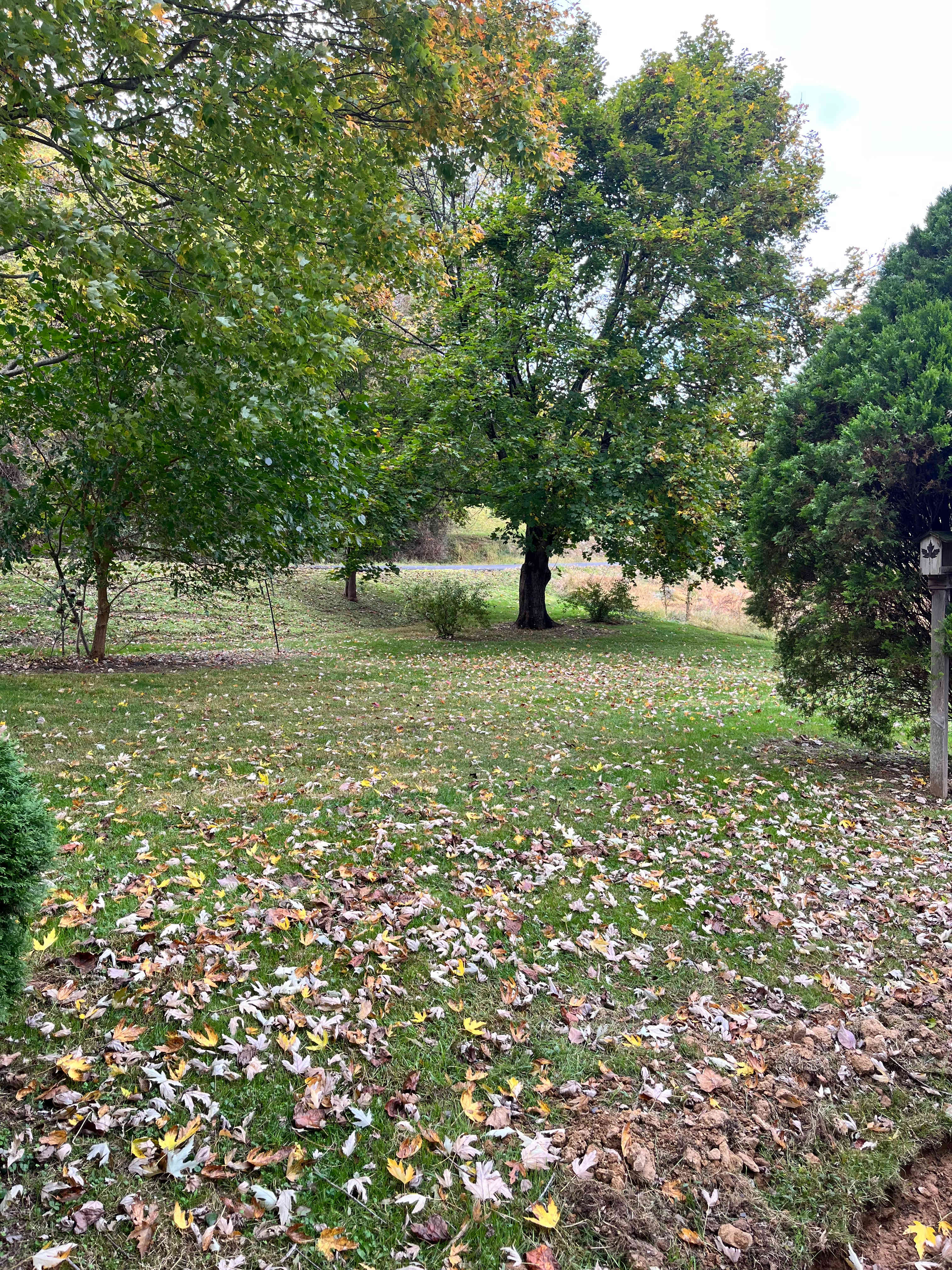 Nick’s Bucolic Paradise