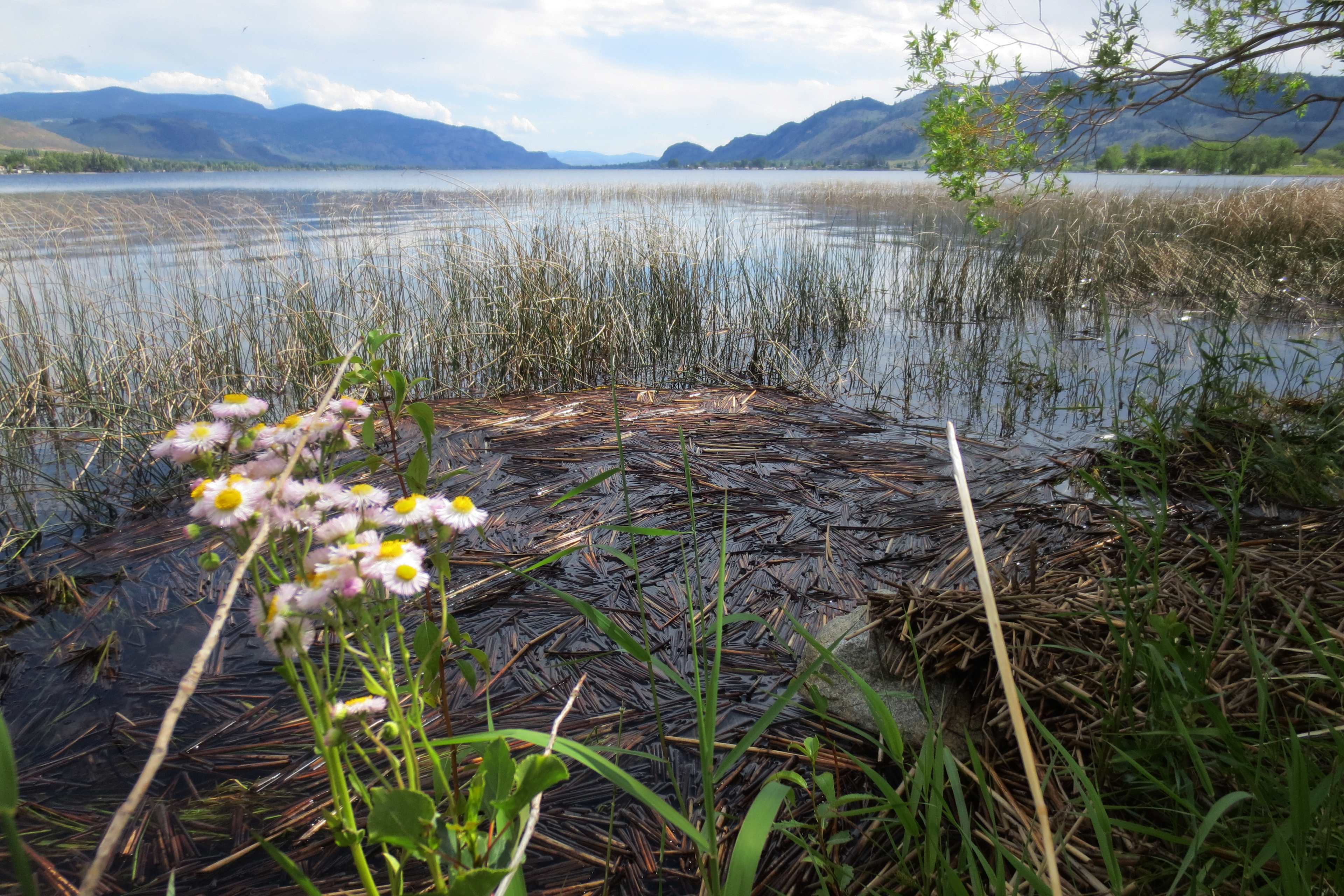 sw̓iw̓s Provincial Park (Haynes Point)